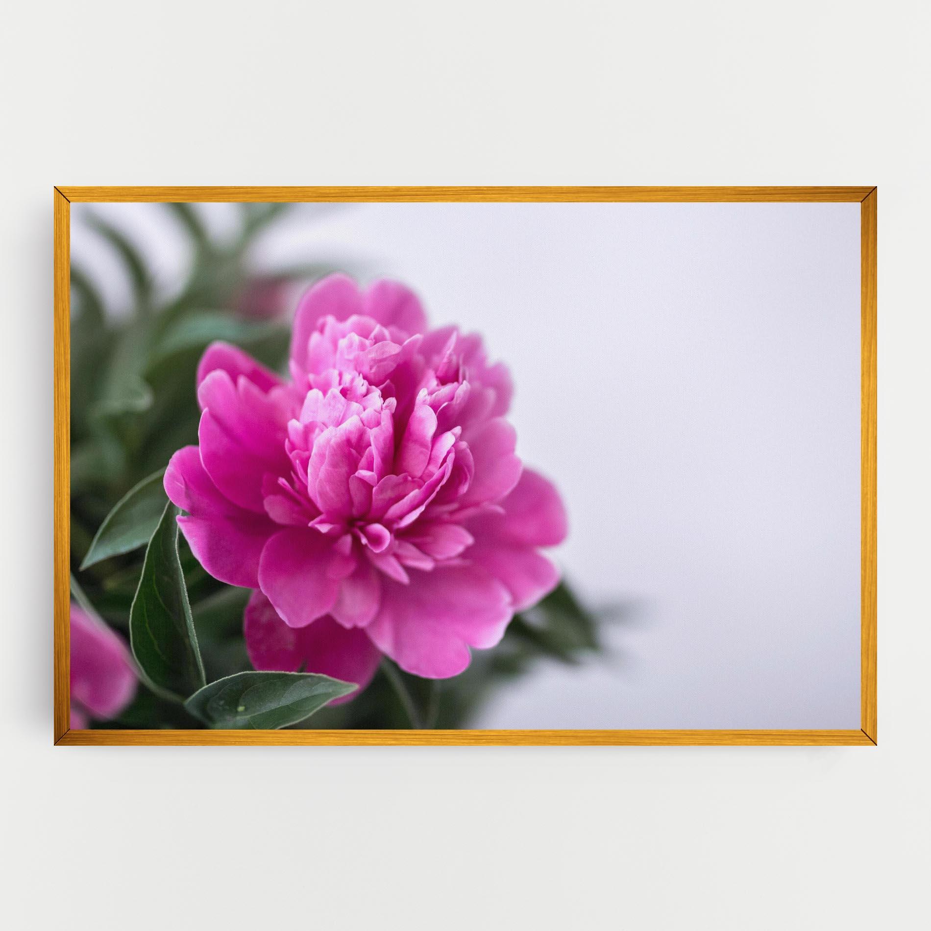 Tablou Canvas Dark Pink Peony mockup 0