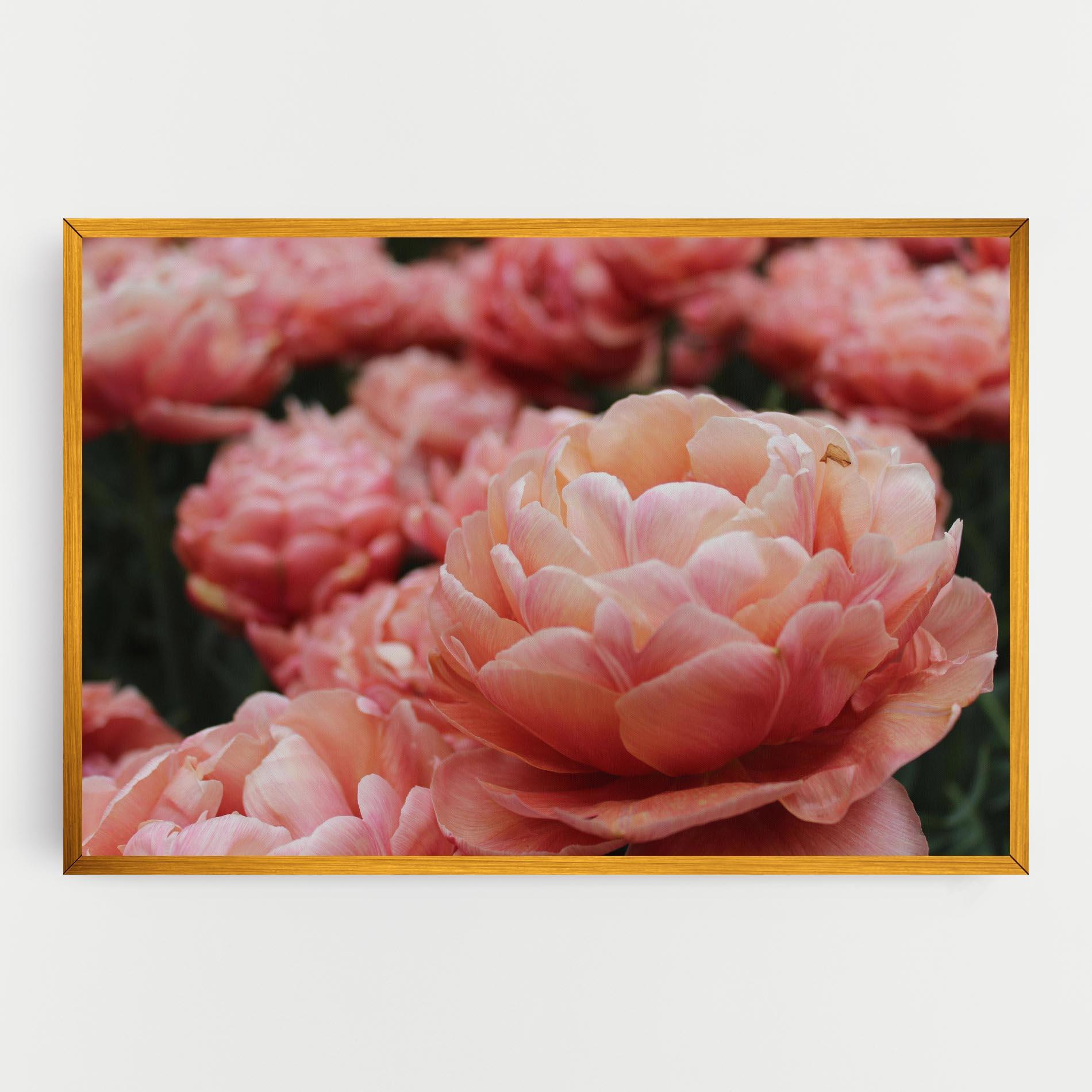 Tablou Canvas Light Orange Peony mockup 0