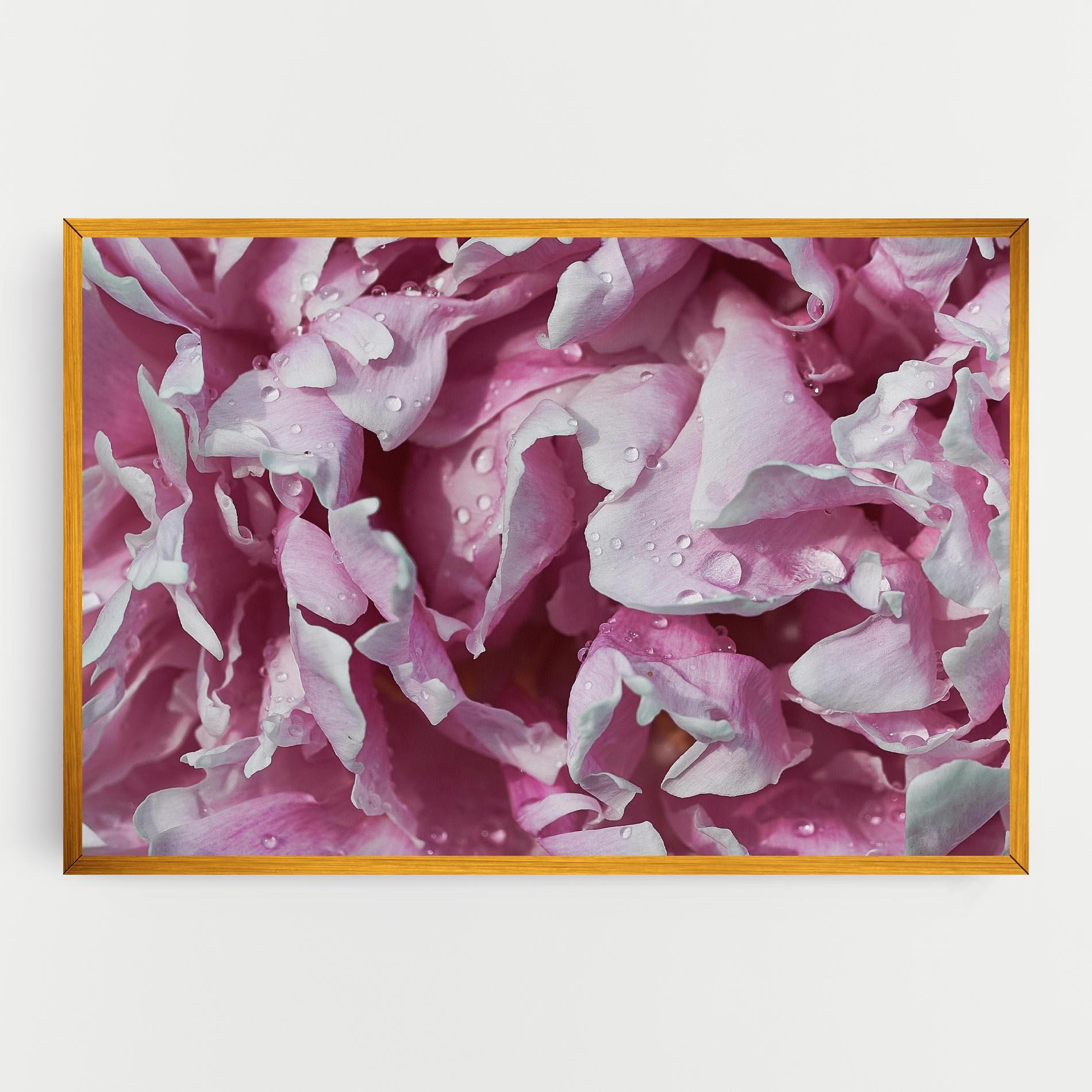 Tablou Canvas Peony Petals mockup 0