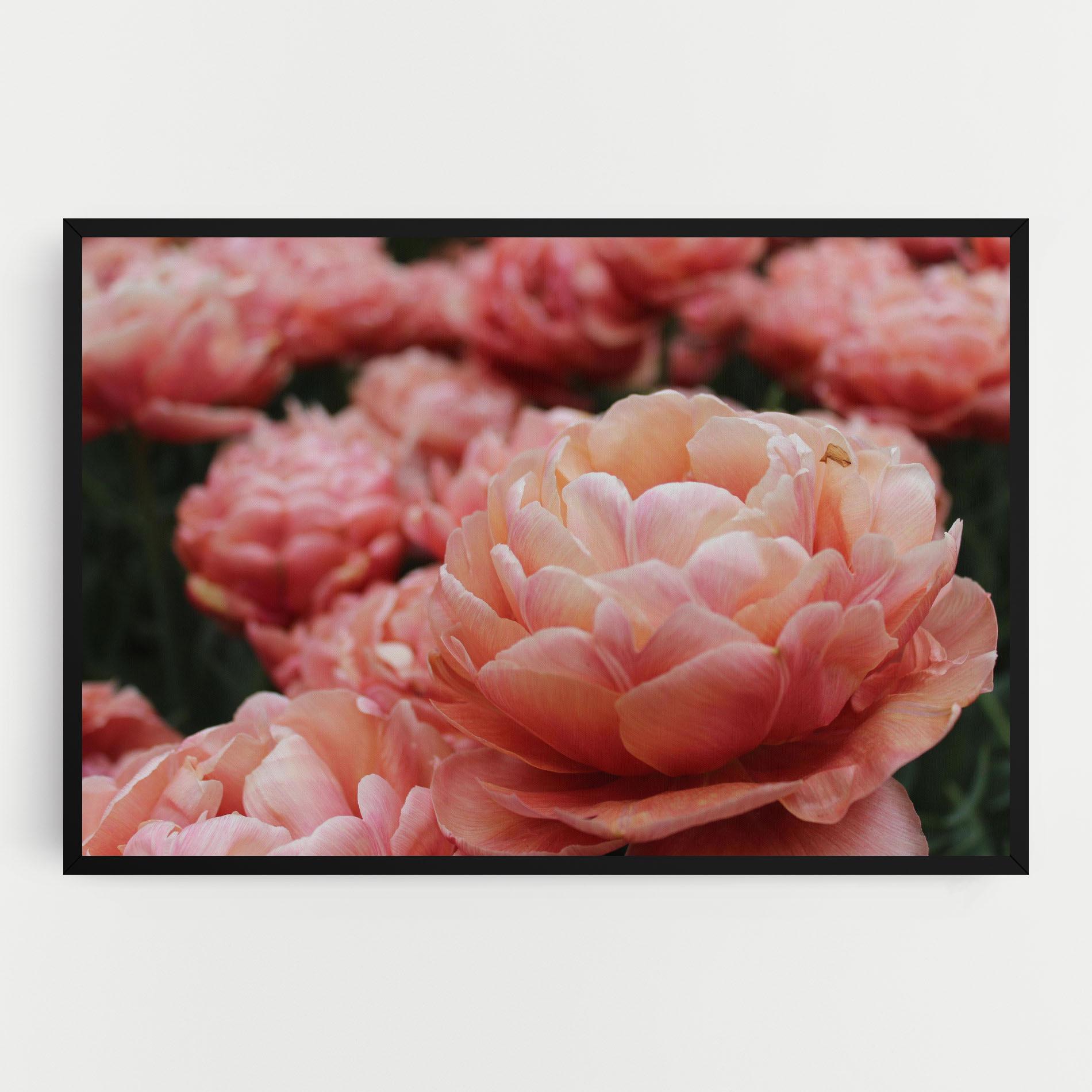 Tablou Canvas Light Orange Peony mockup 0