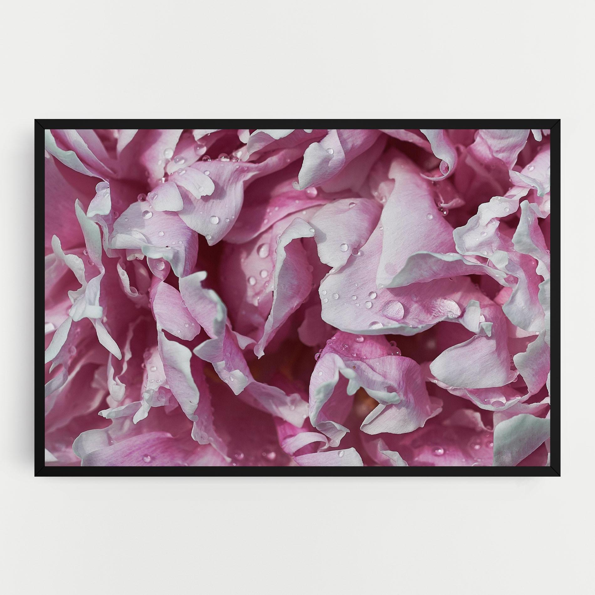Tablou Canvas Peony Petals mockup 0