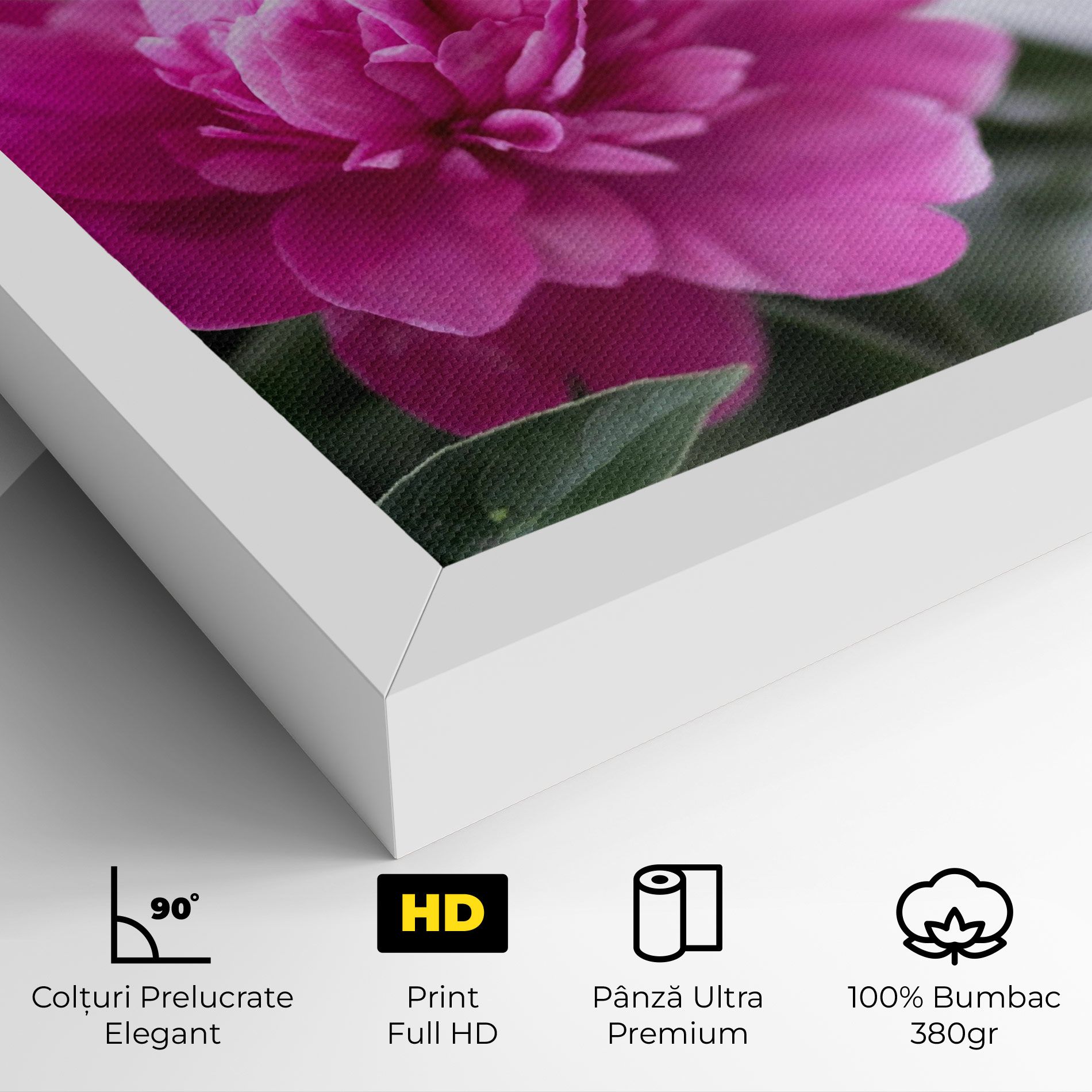 Dark Pink Peony mockup 4