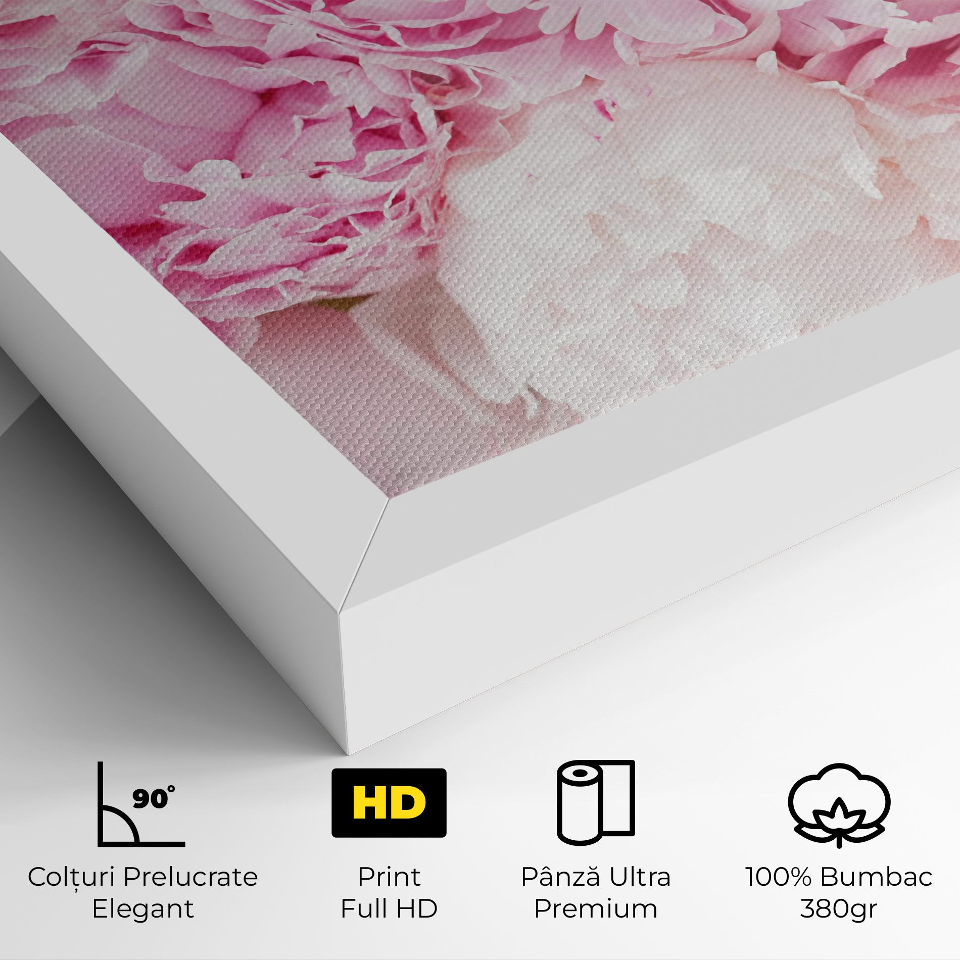 Dreamy Pink Pastel Peony mockup 4
