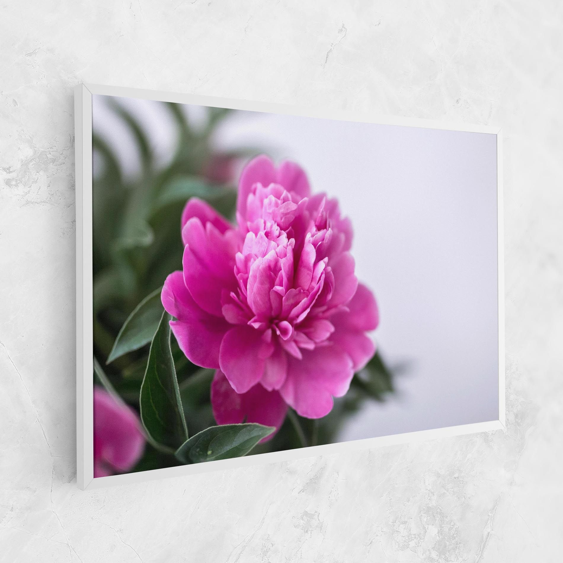 Dark Pink Peony mockup 1