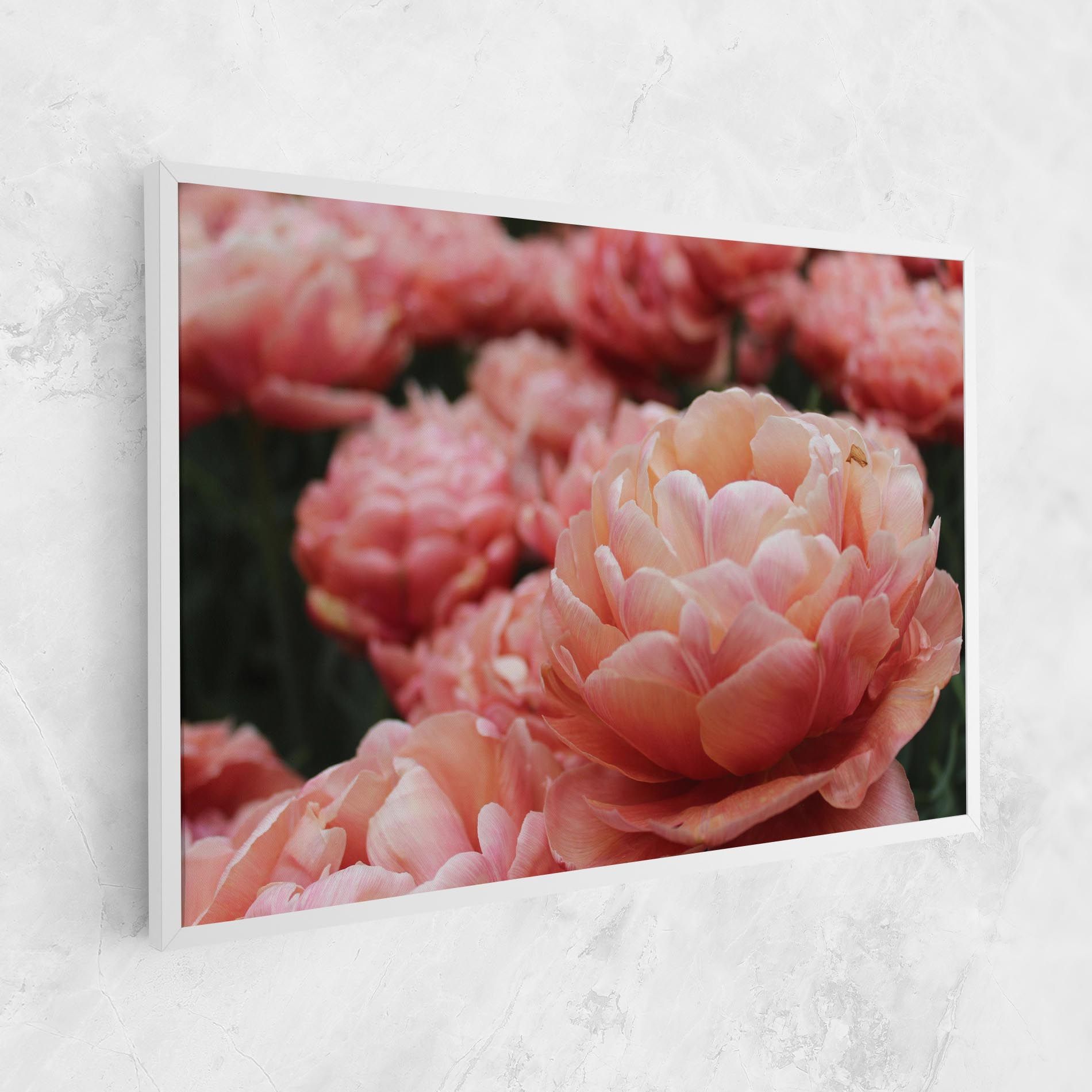 Light Orange Peony mockup 1