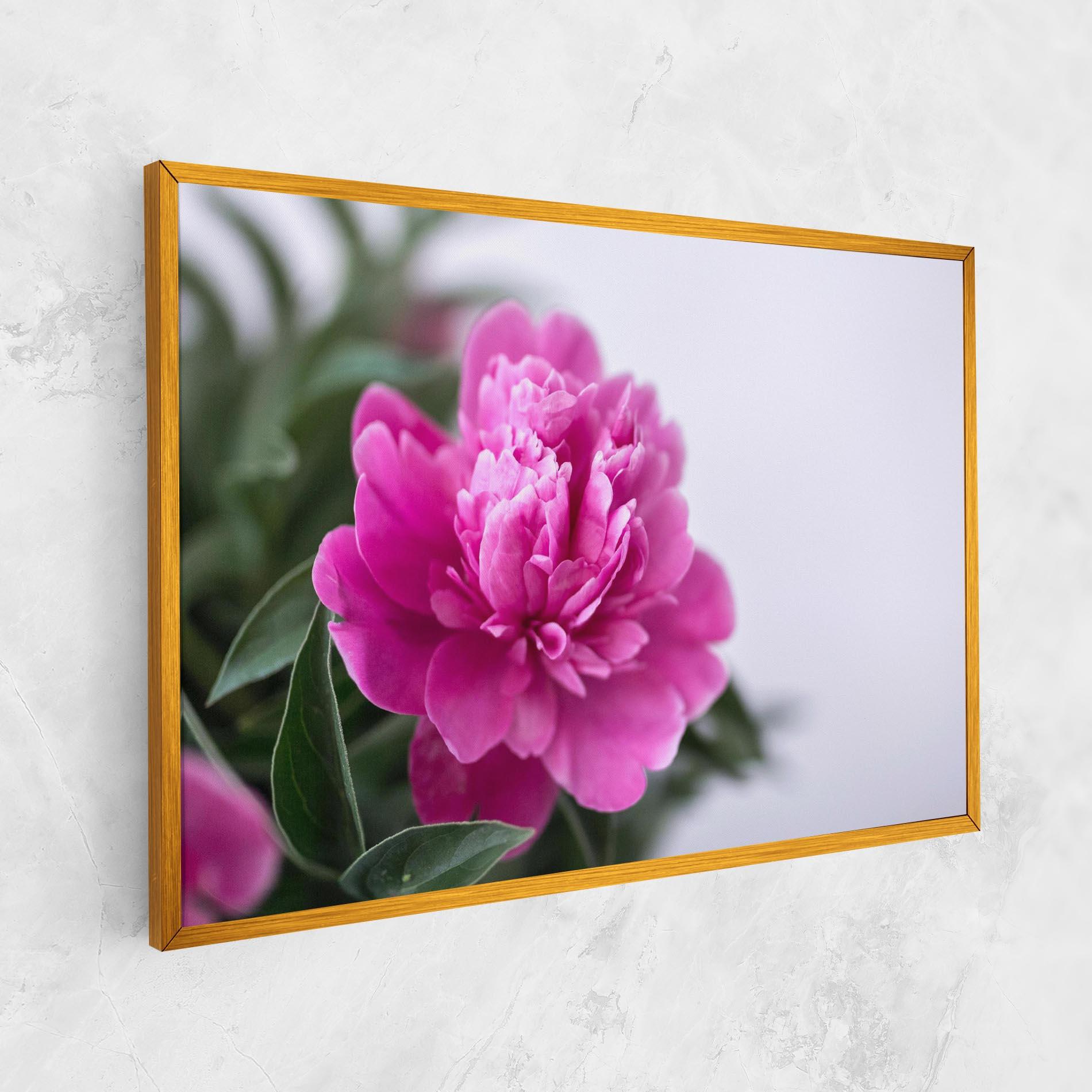Tablou Canvas Dark Pink Peony mockup 1