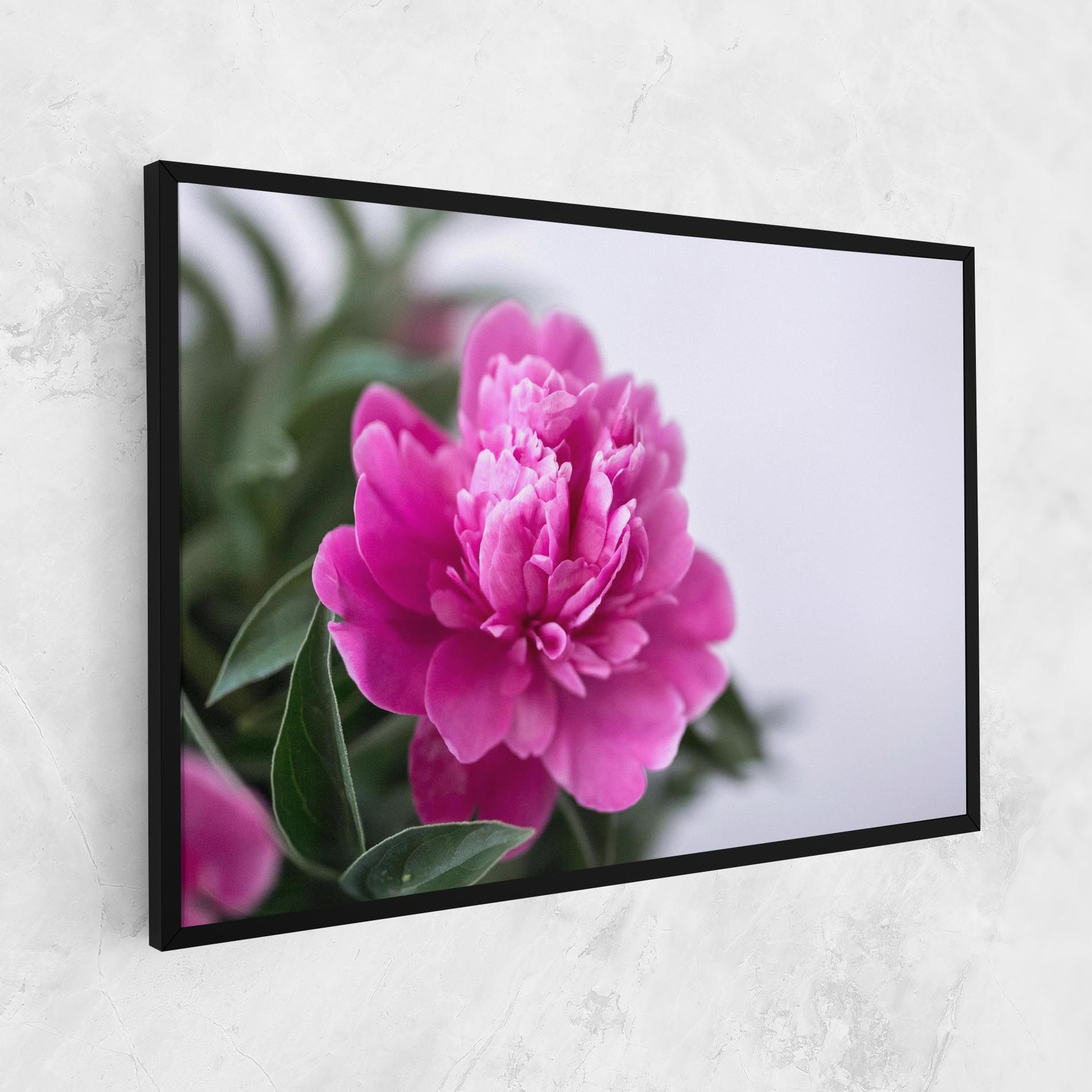 Dark Pink Peony mockup 1
