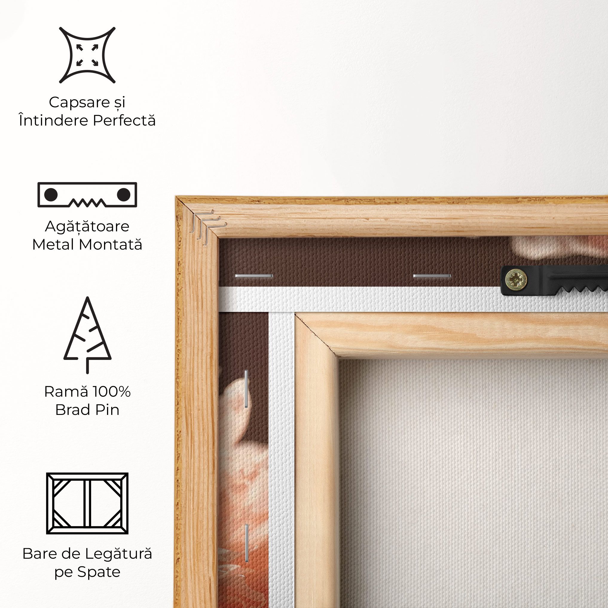 Light Orange Peony View mockup 5