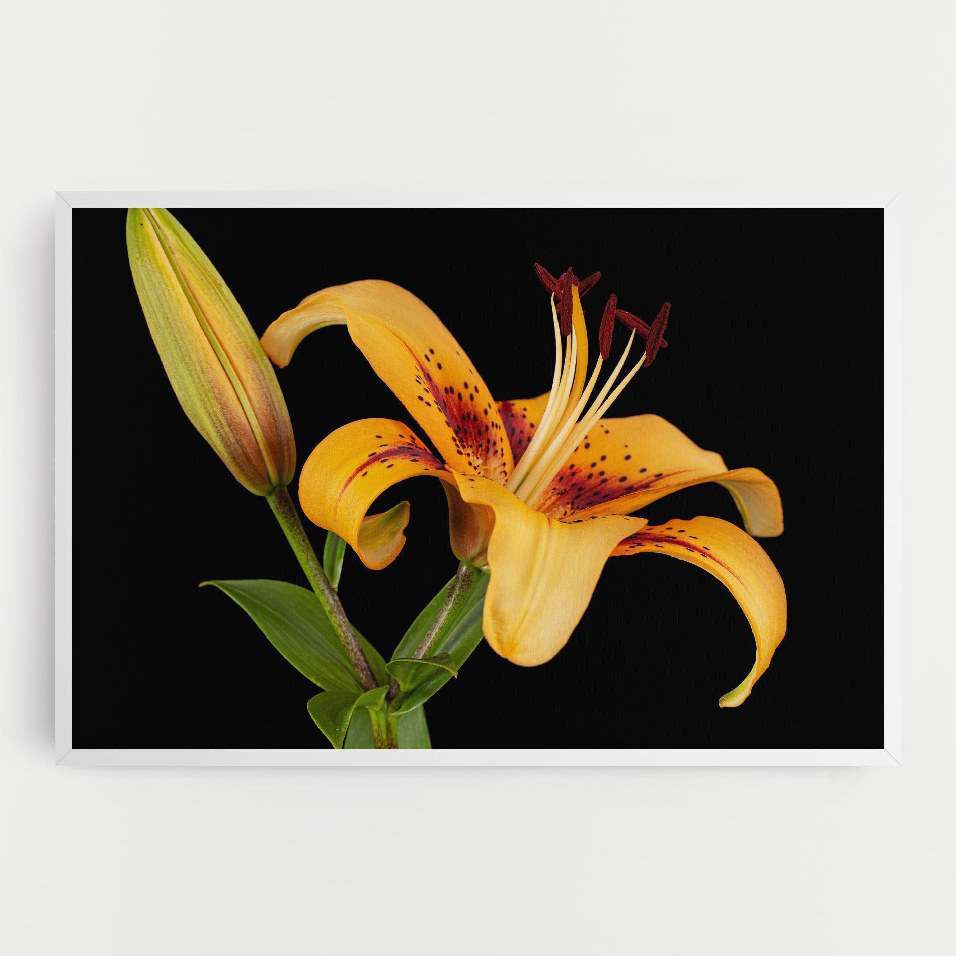 Tablou Canvas Beautiful Yellow Lily mockup 0