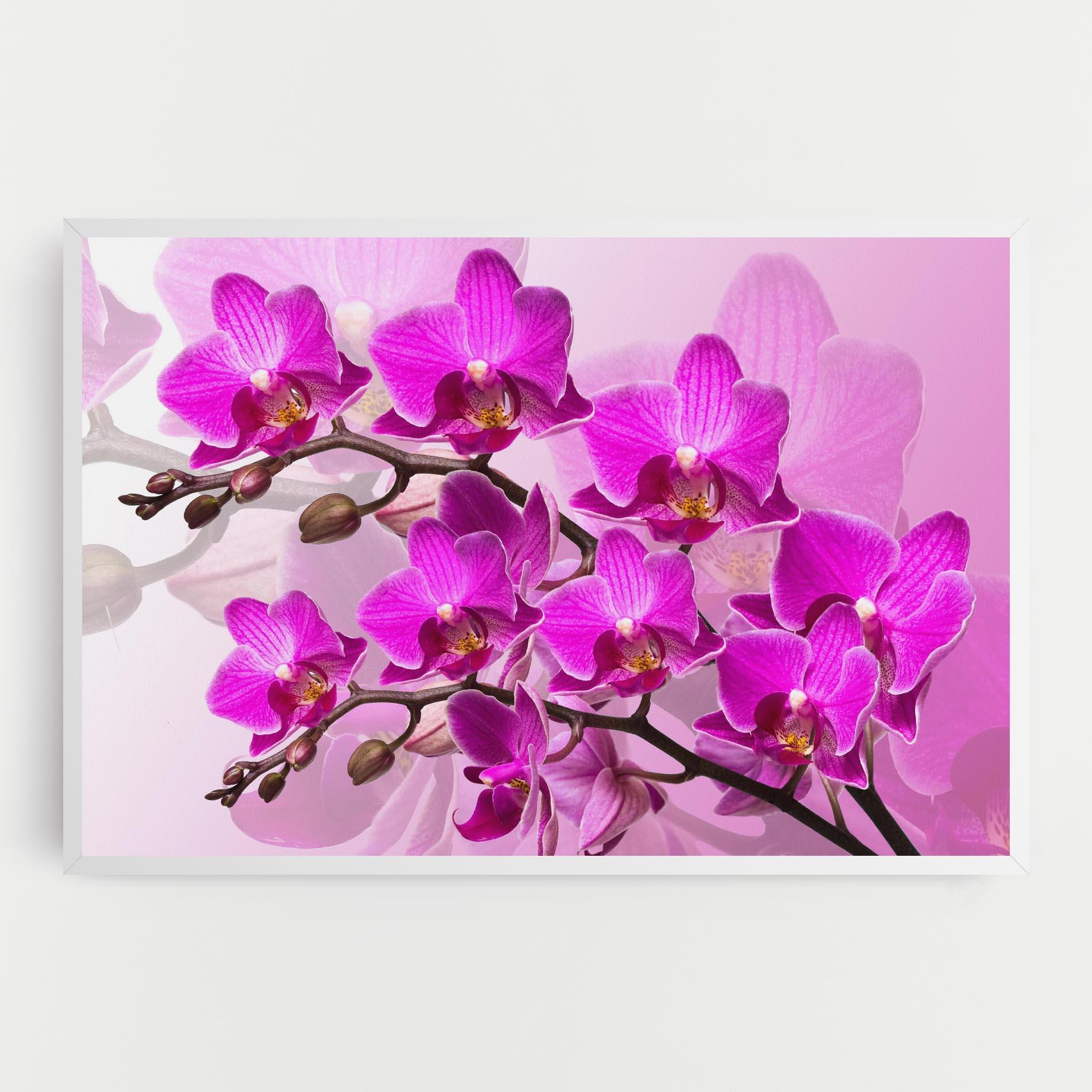 Tablou Canvas Flori Roz mockup 0