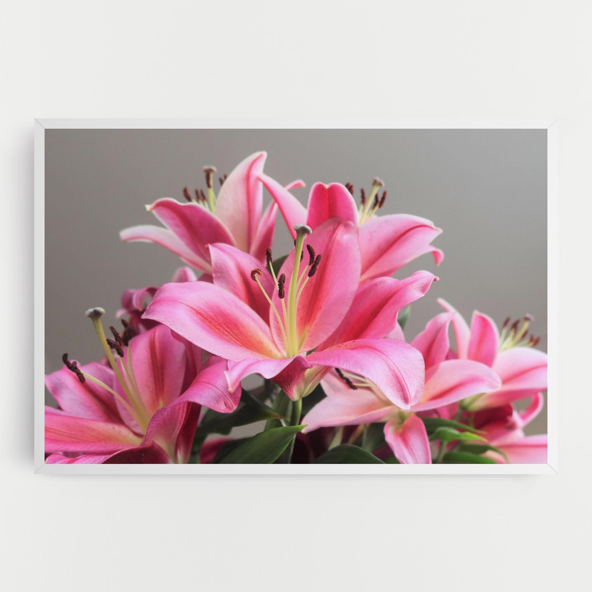 Light Pink Lily View mockup 0