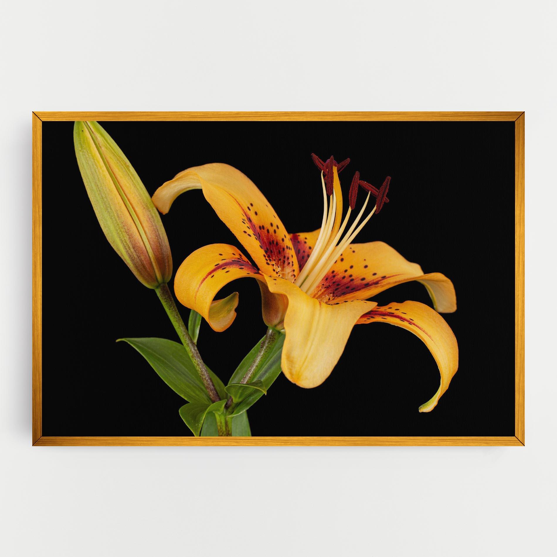 Tablou Canvas Beautiful Yellow Lily mockup 0