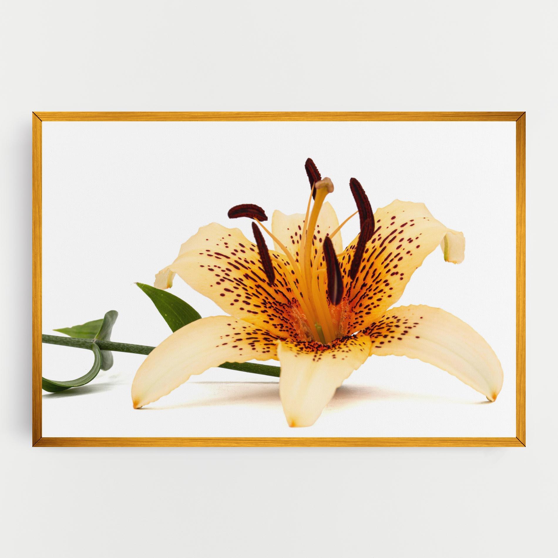 Tablou Canvas Big Yellow Lily mockup 0