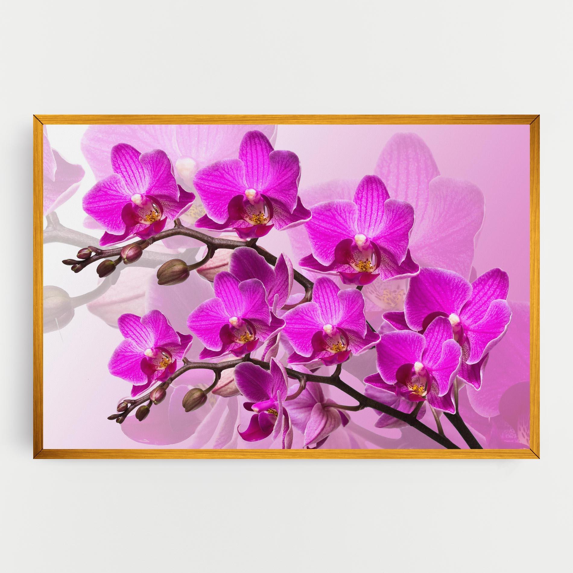 Tablou Canvas Flori Roz mockup 0