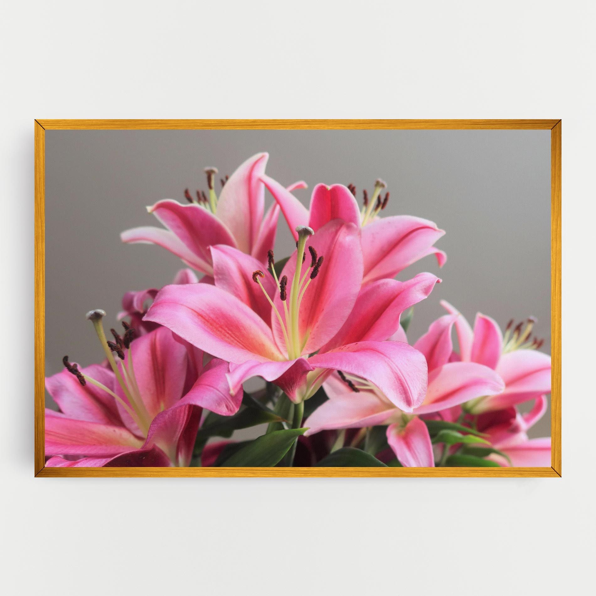 Light Pink Lily View mockup 0