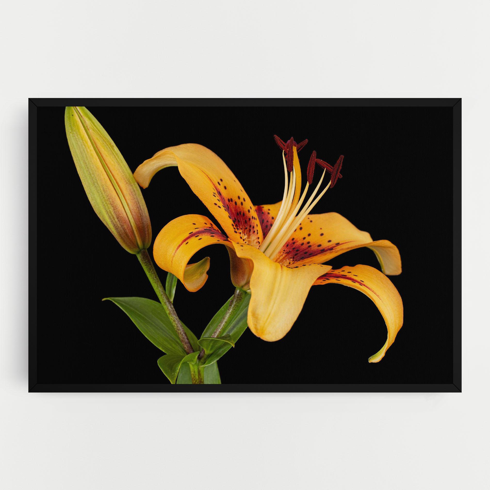 Tablou Canvas Beautiful Yellow Lily mockup 0