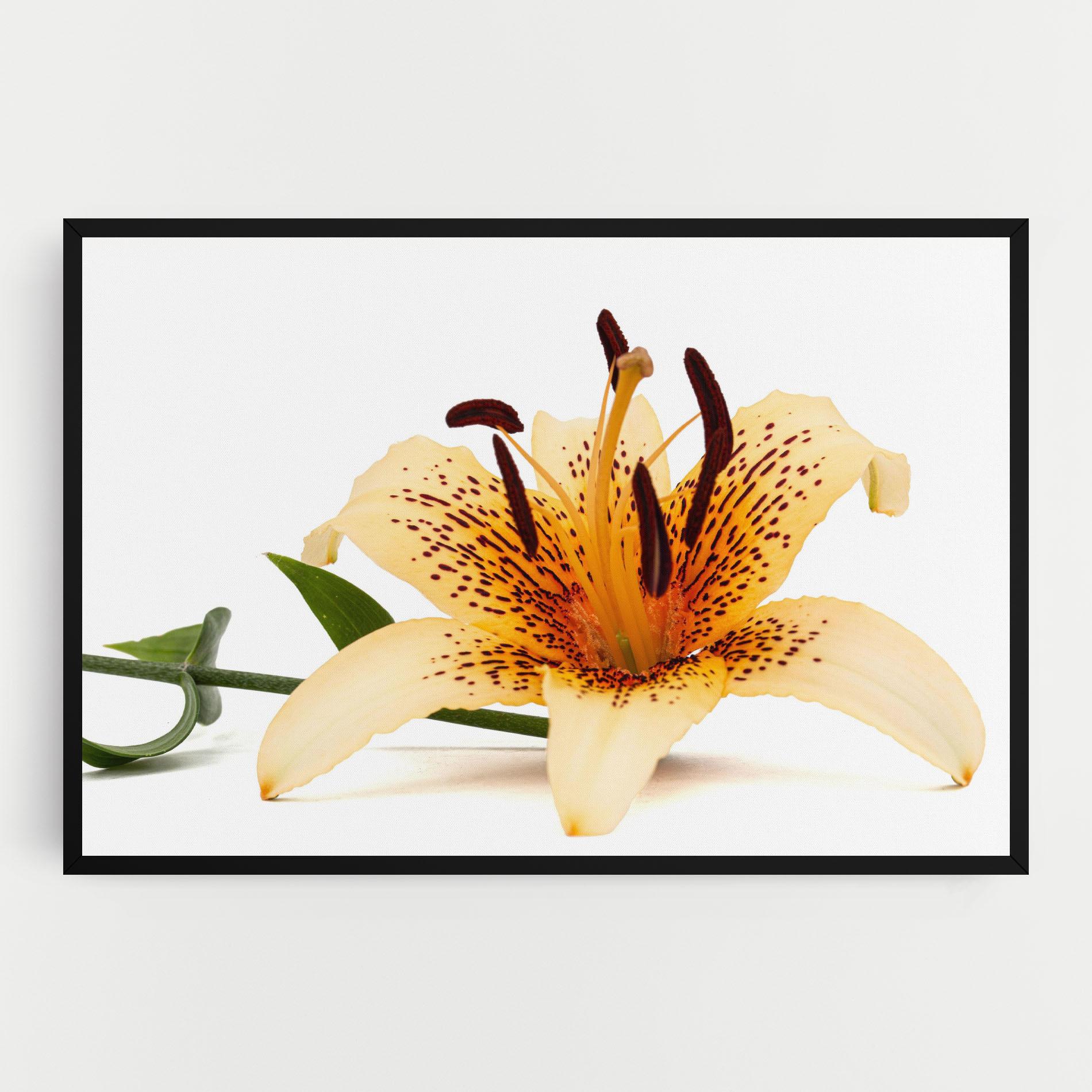 Tablou Canvas Big Yellow Lily mockup 0