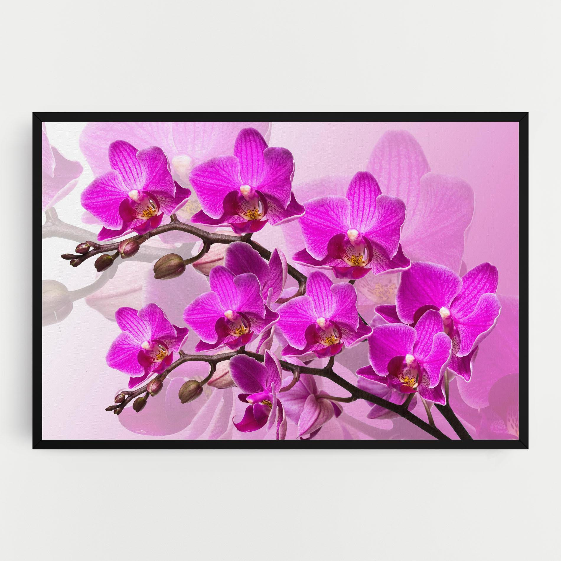 Tablou Canvas Flori Roz mockup 0