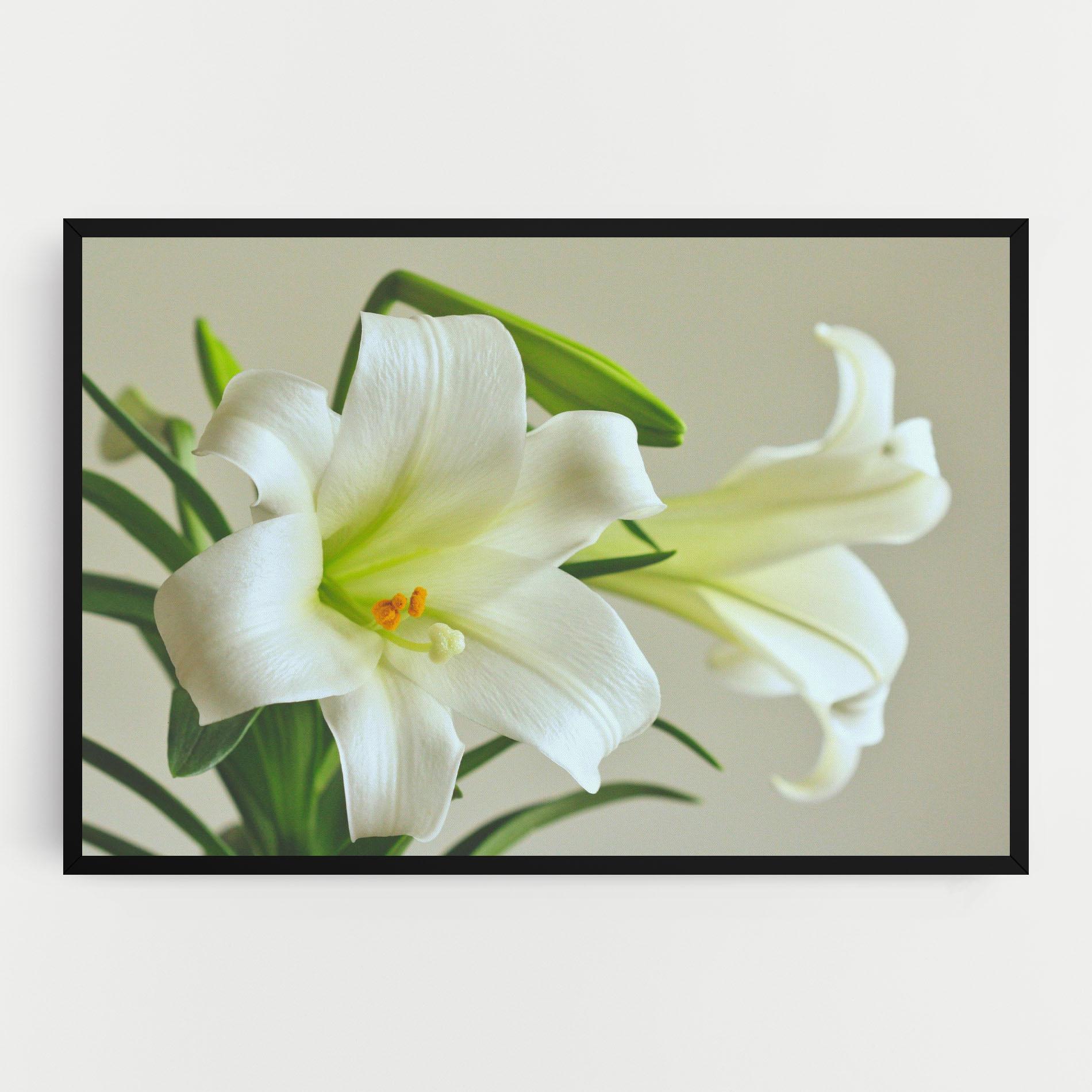 Tablou Canvas Green Lily mockup 0