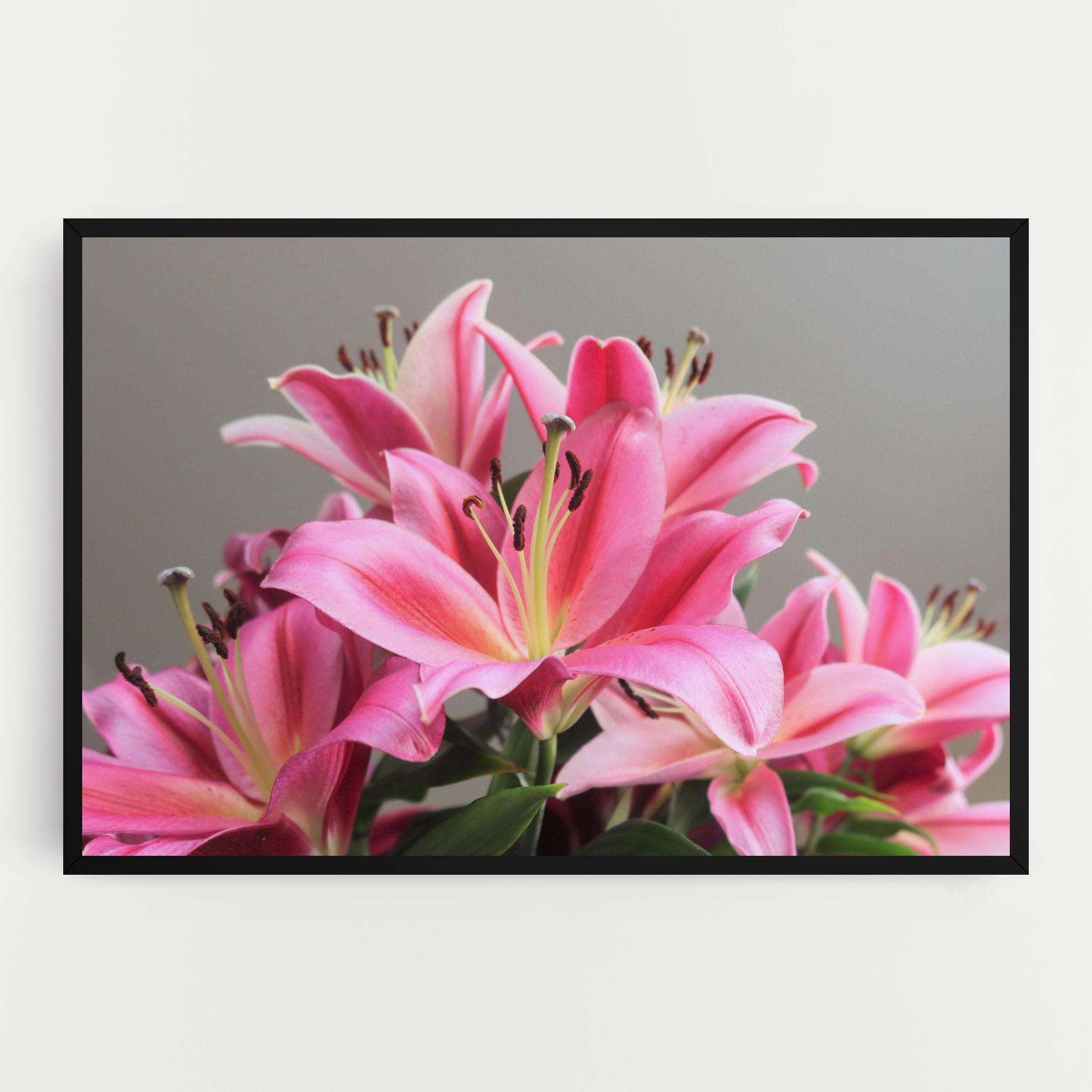Tablou Canvas Light Pink Lily View mockup 0