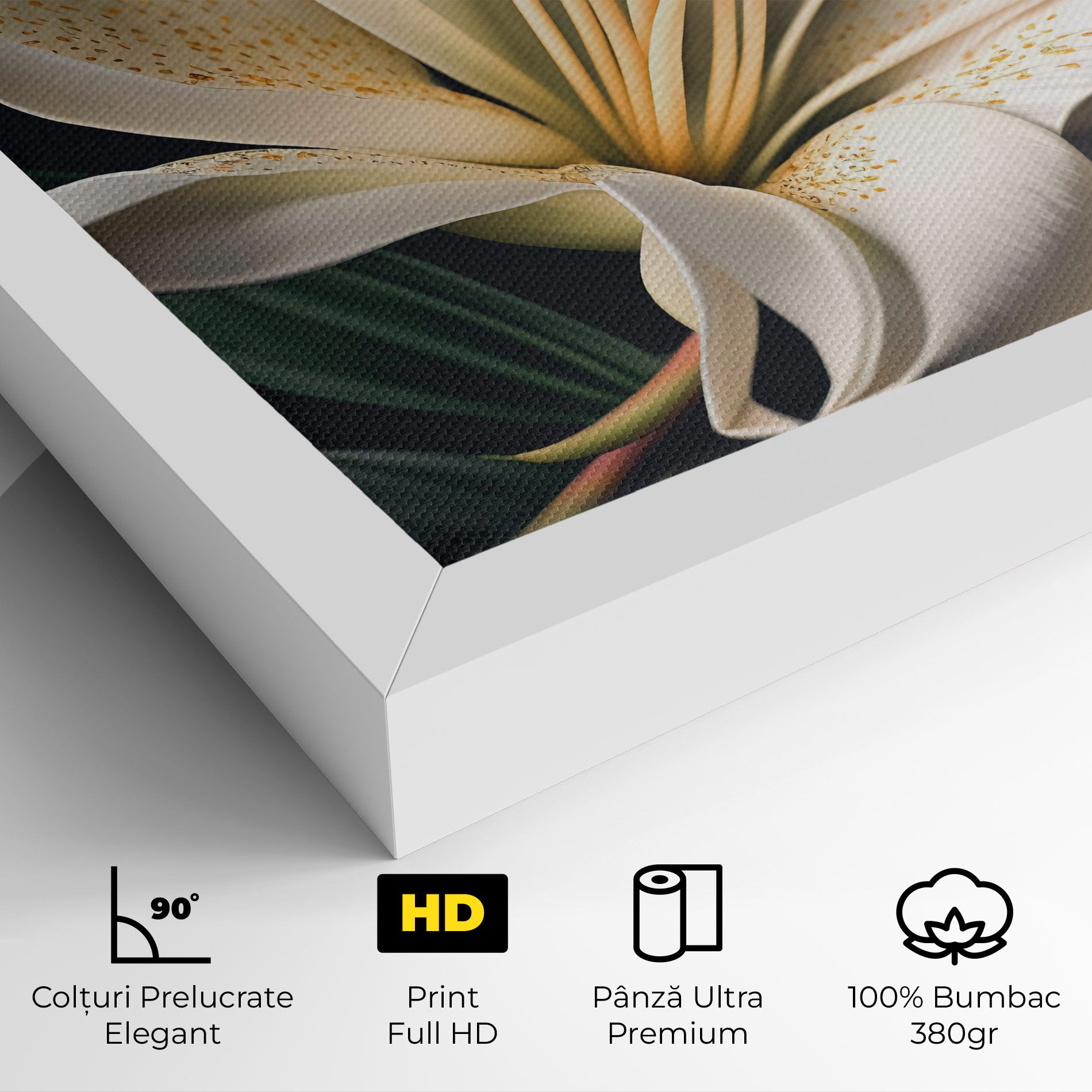 Big Lily View mockup 4