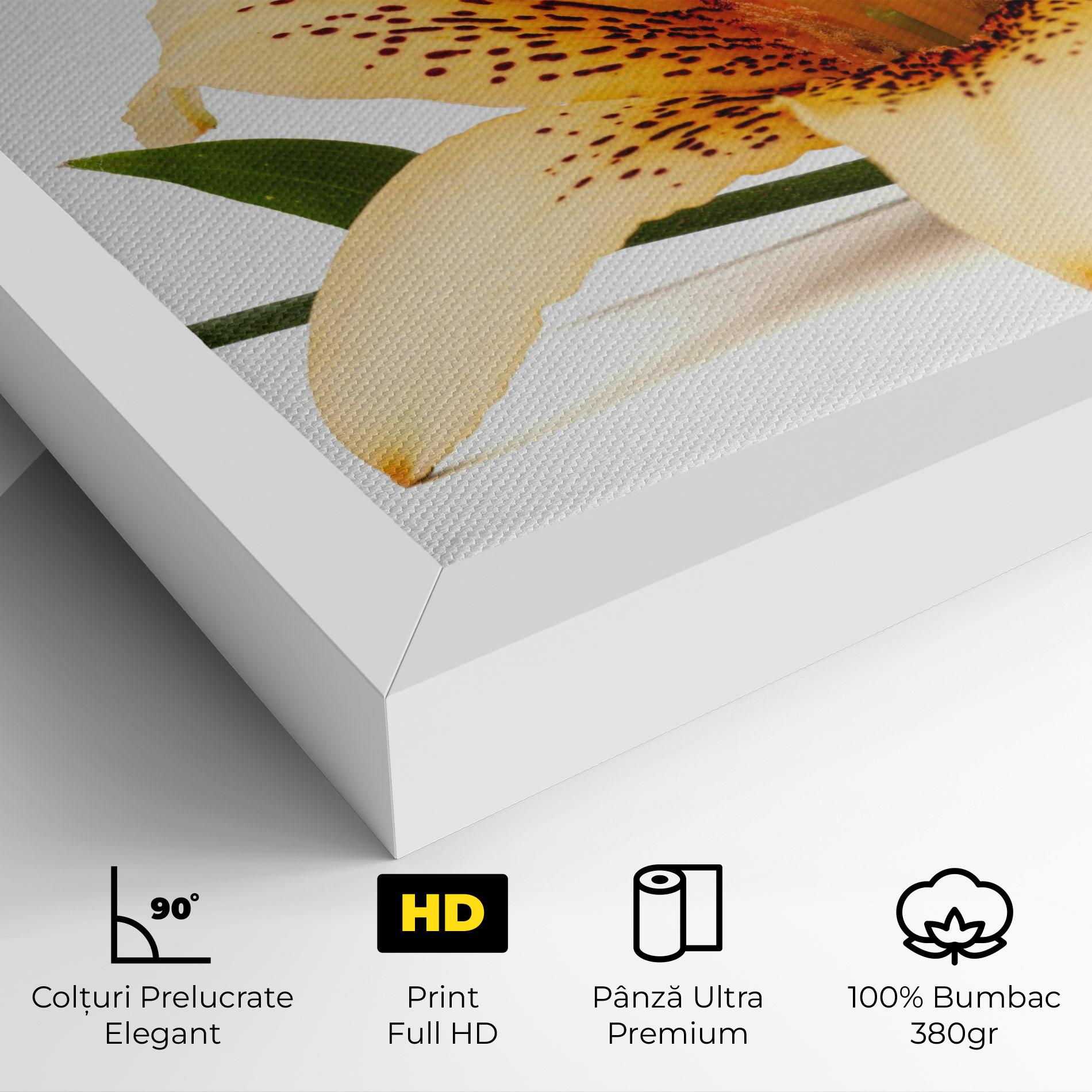 Tablou Canvas Big Yellow Lily mockup 4