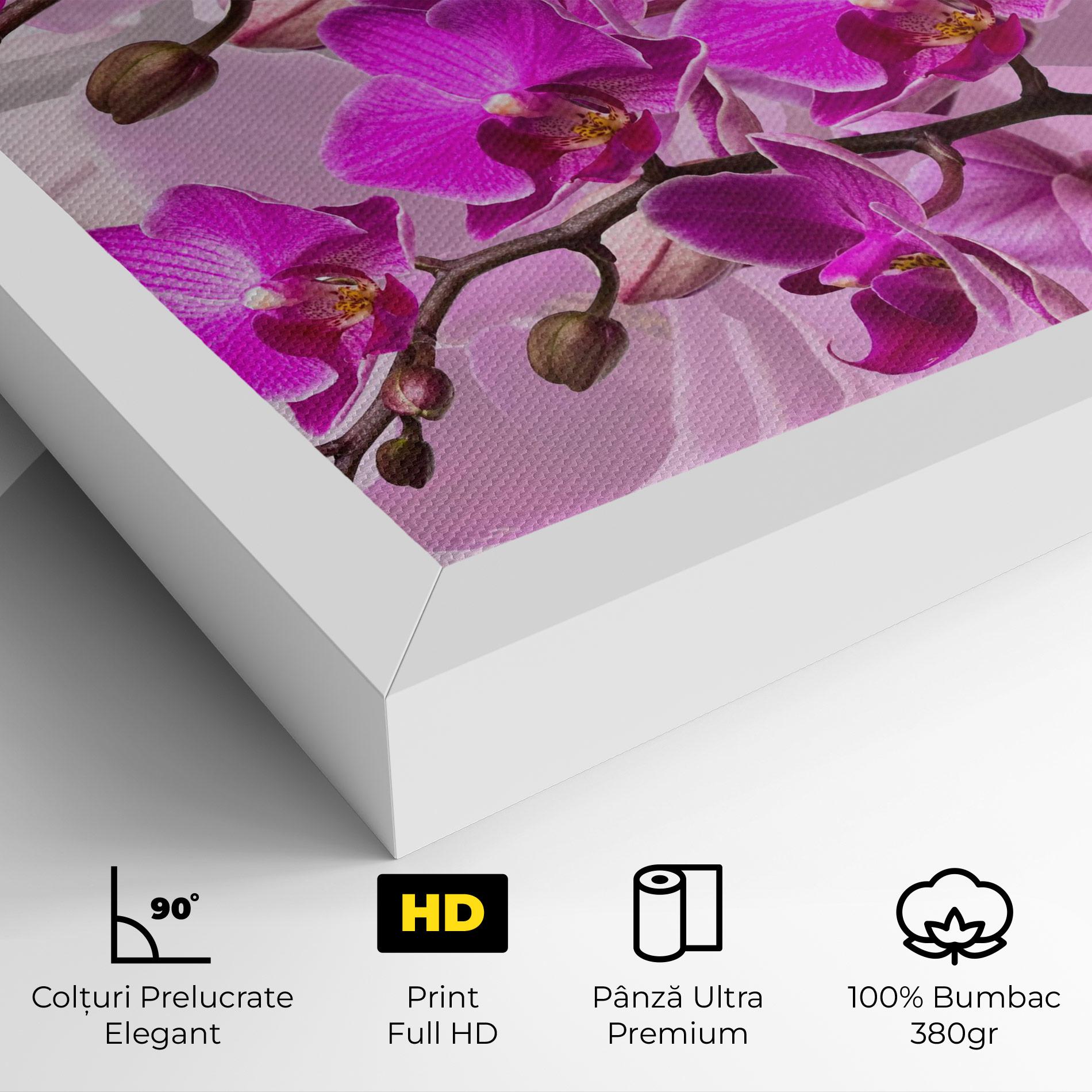 Tablou Canvas Flori Roz mockup 4