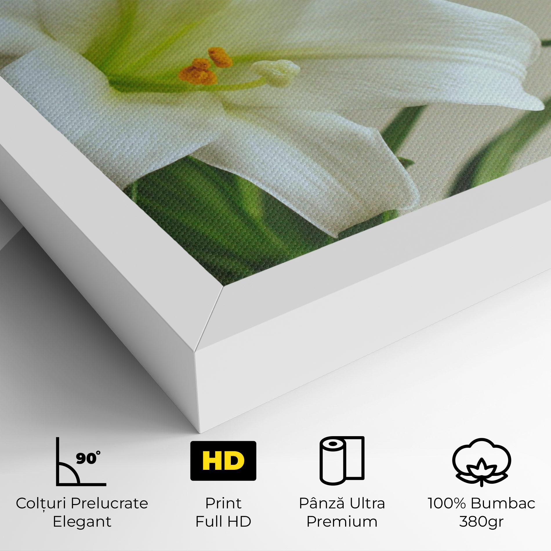 Tablou Canvas Green Lily mockup 4