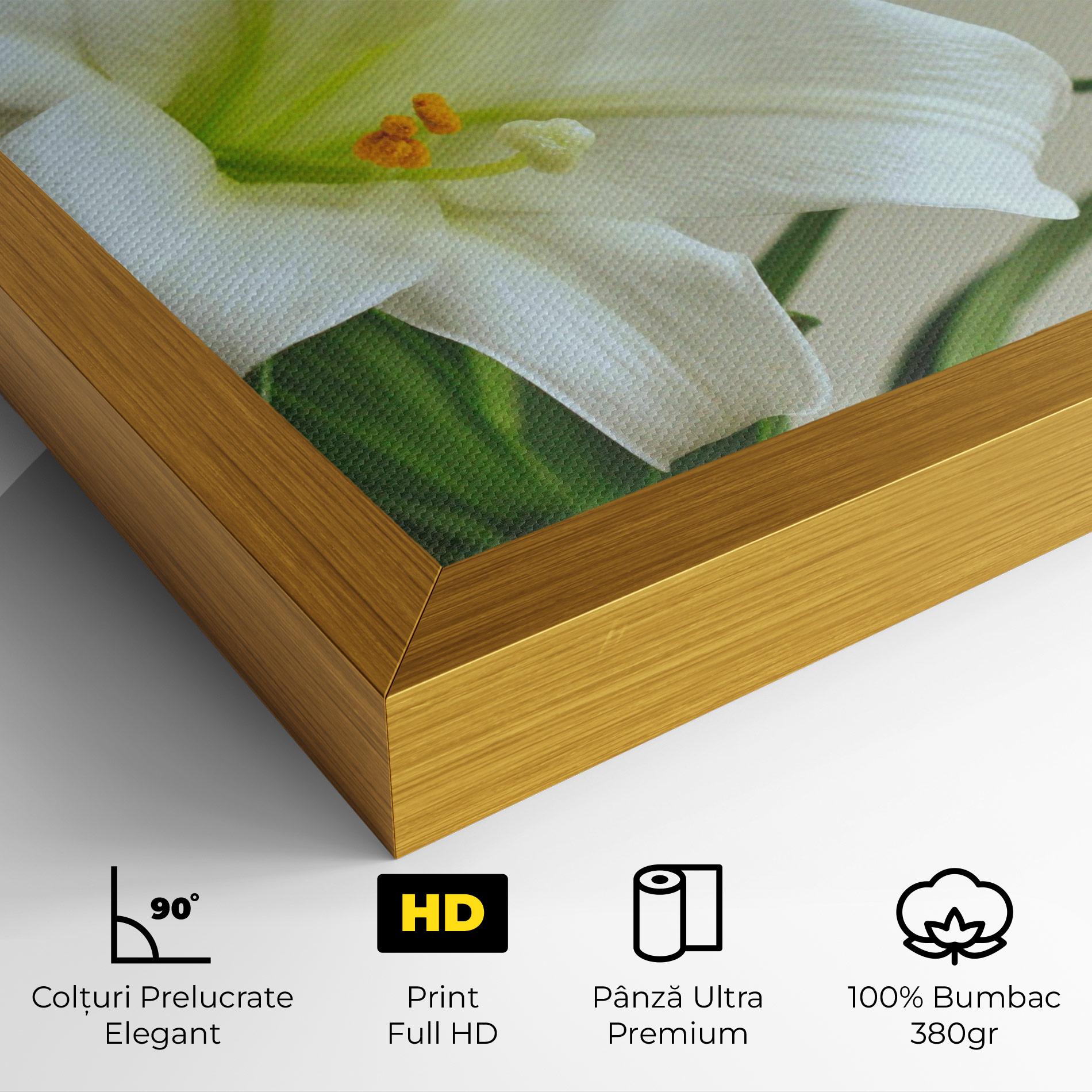 Tablou Canvas Green Lily mockup 4