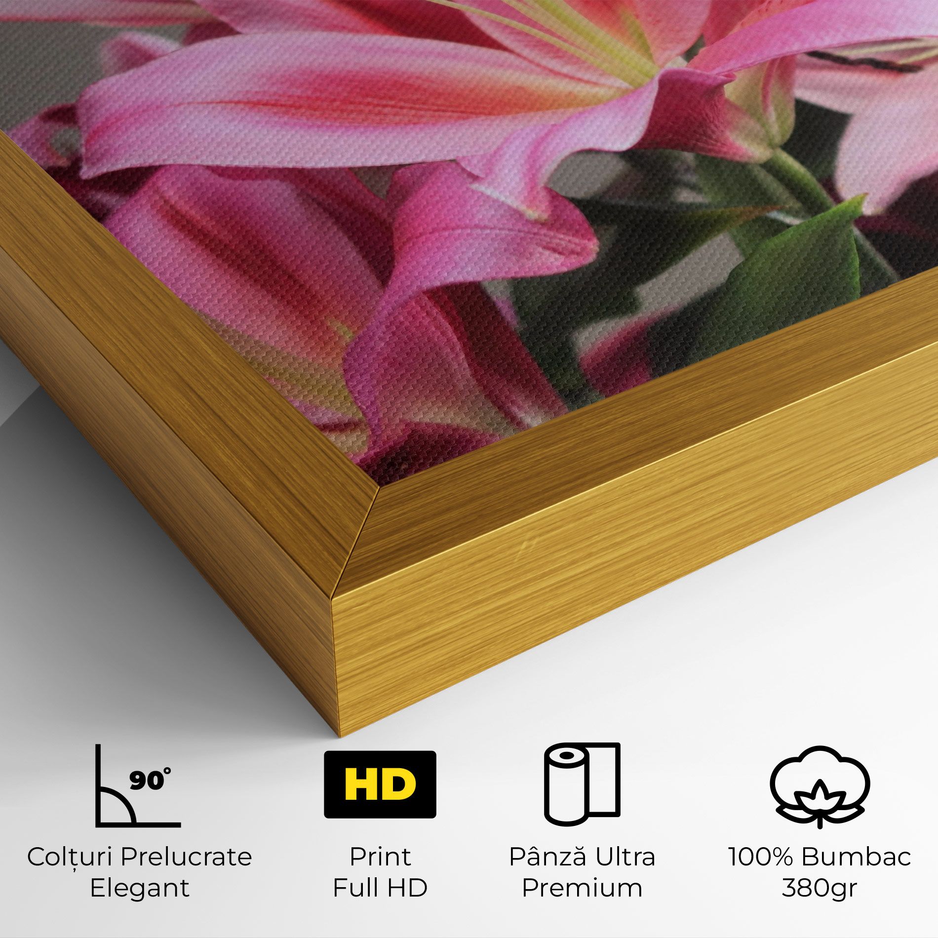 Light Pink Lily View mockup 4