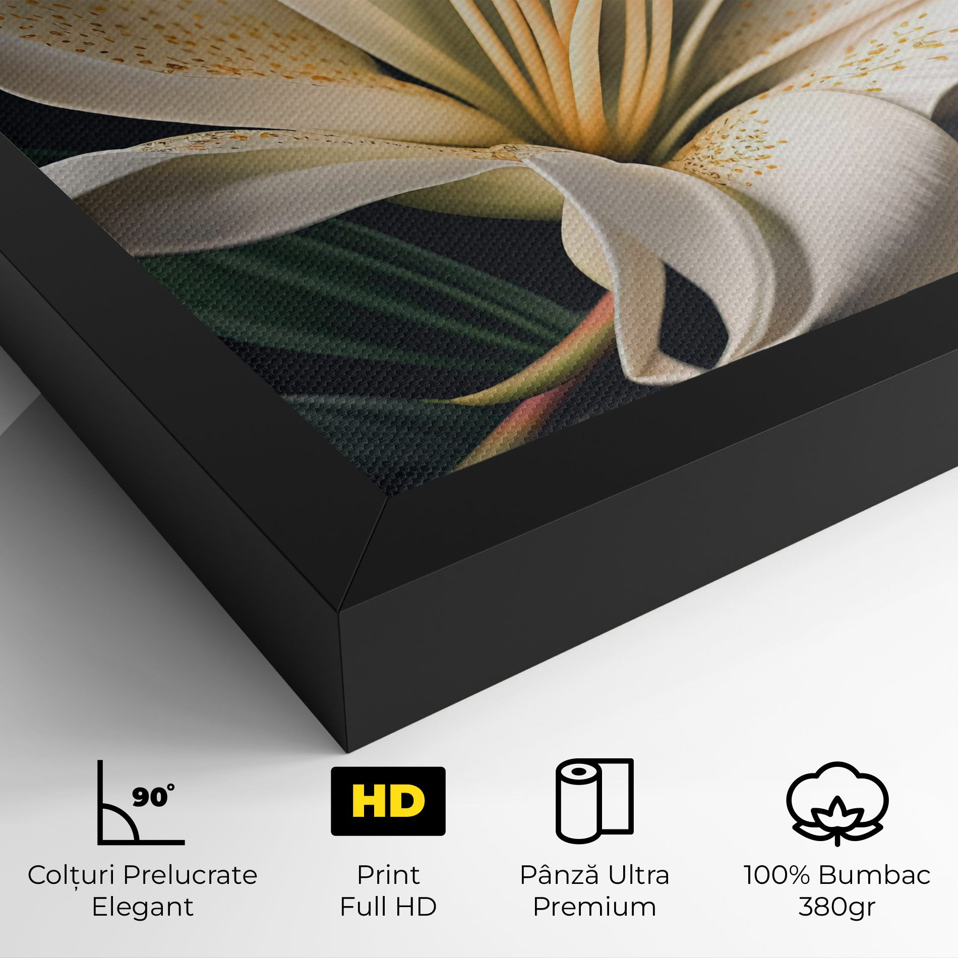 Big Lily View mockup 4