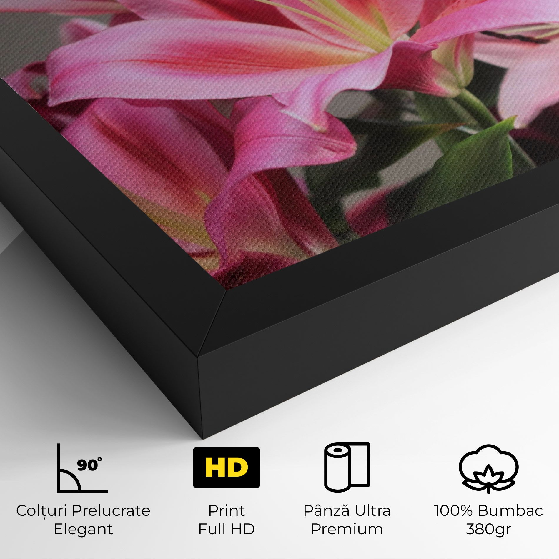 Light Pink Lily View mockup 4