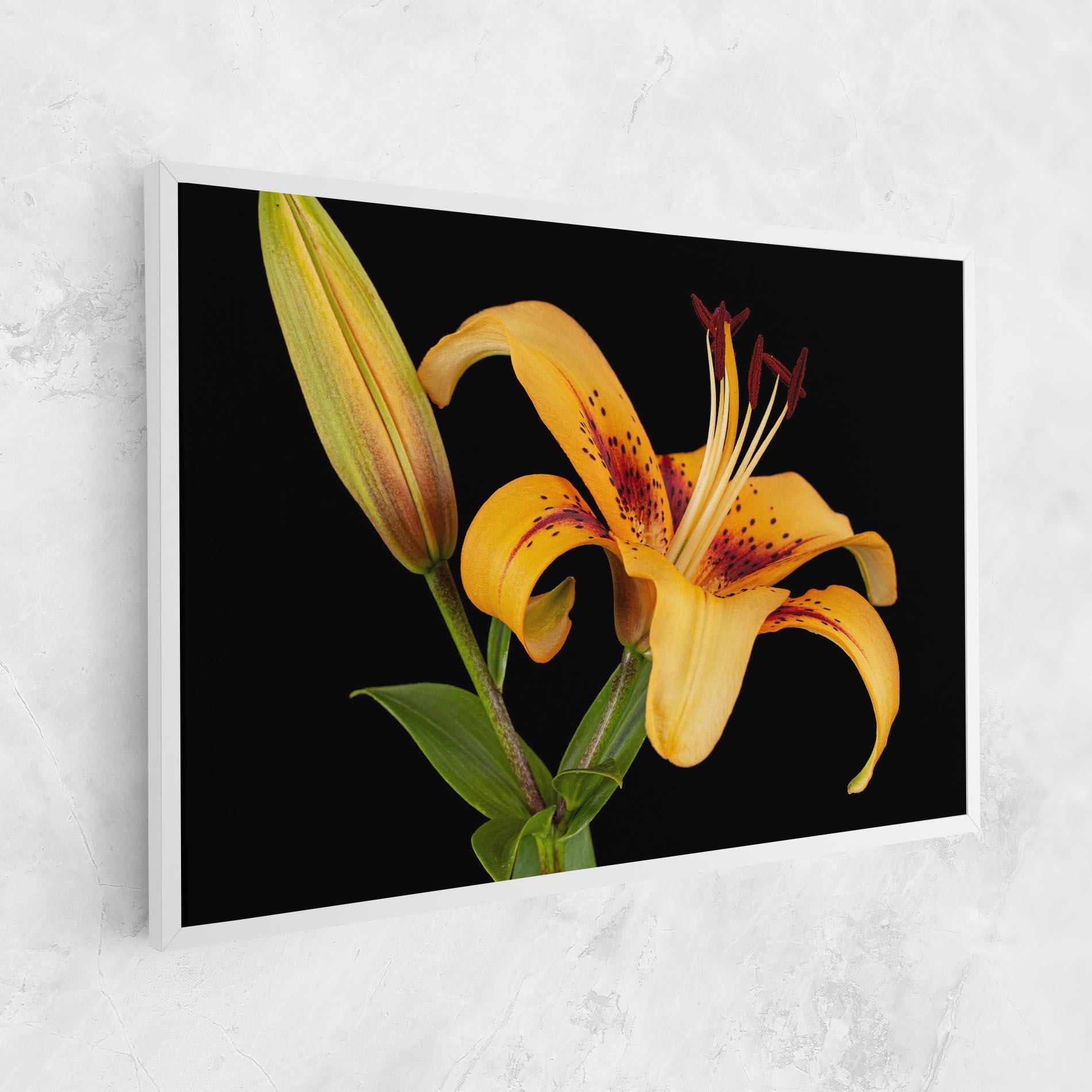 Tablou Canvas Beautiful Yellow Lily mockup 1