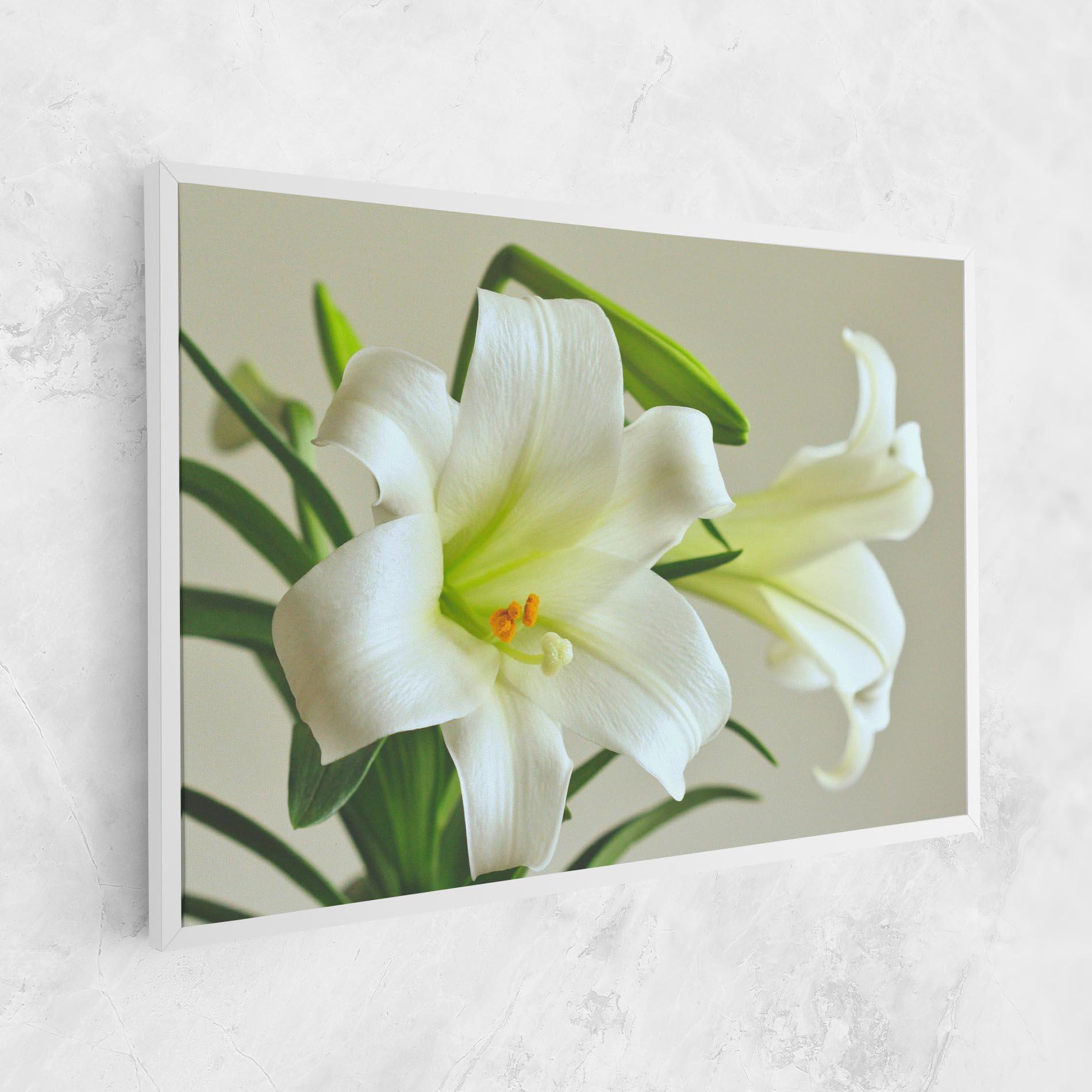 Tablou Canvas Green Lily mockup 1
