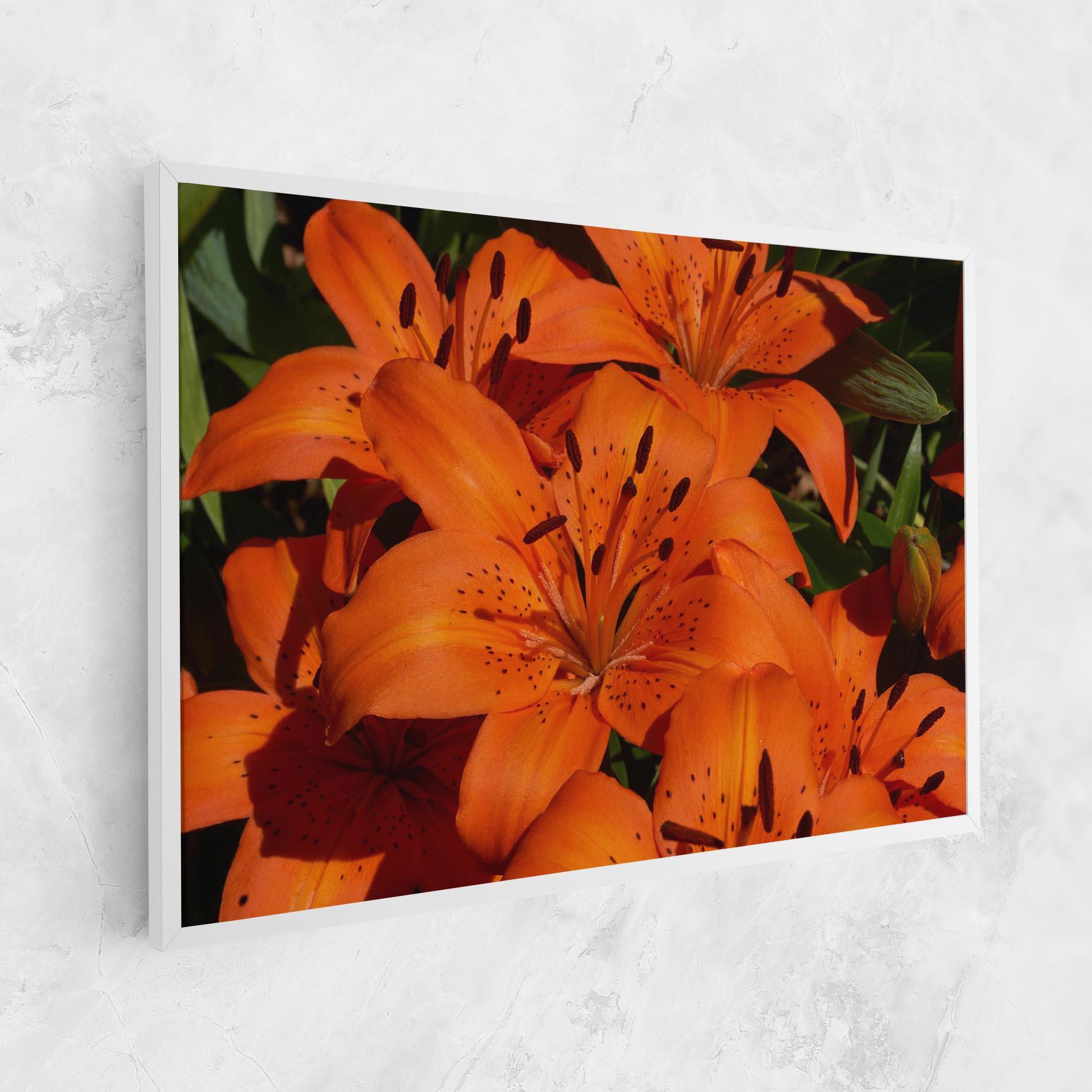 Tablou Canvas Orange Lily In The Sun mockup 1
