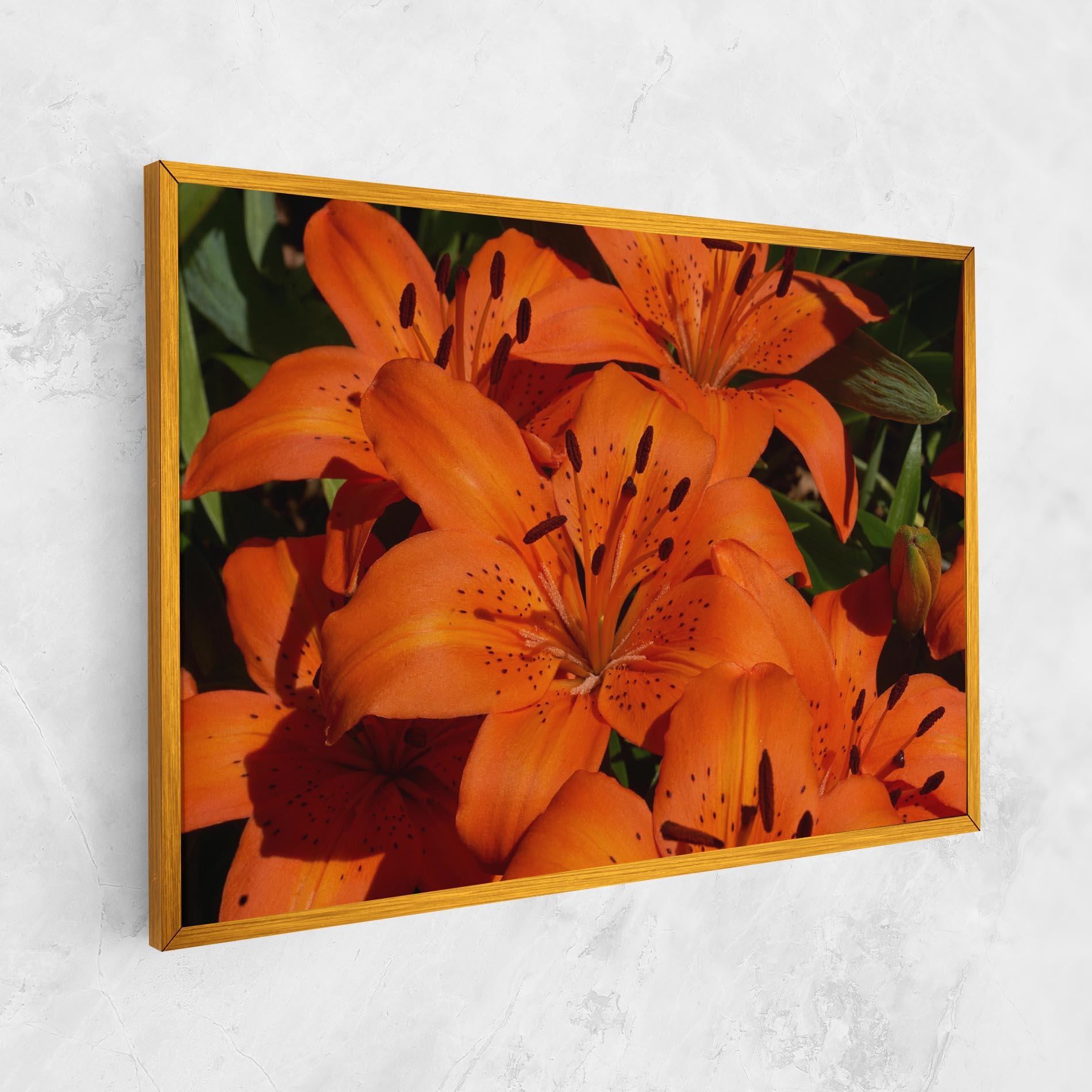 Tablou Canvas Orange Lily In The Sun mockup 1