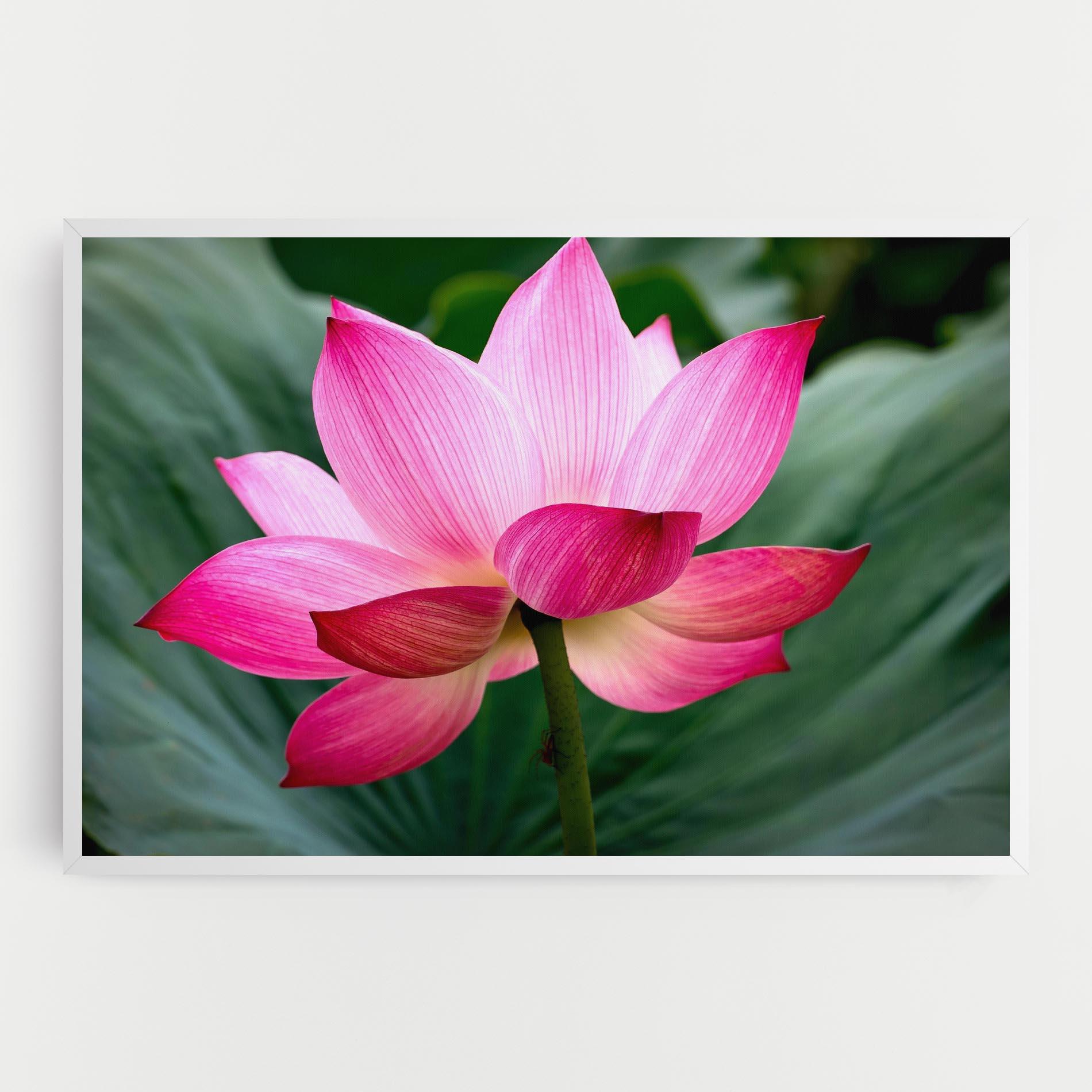 Tablou Canvas Beautiful Pink Exotic mockup 0