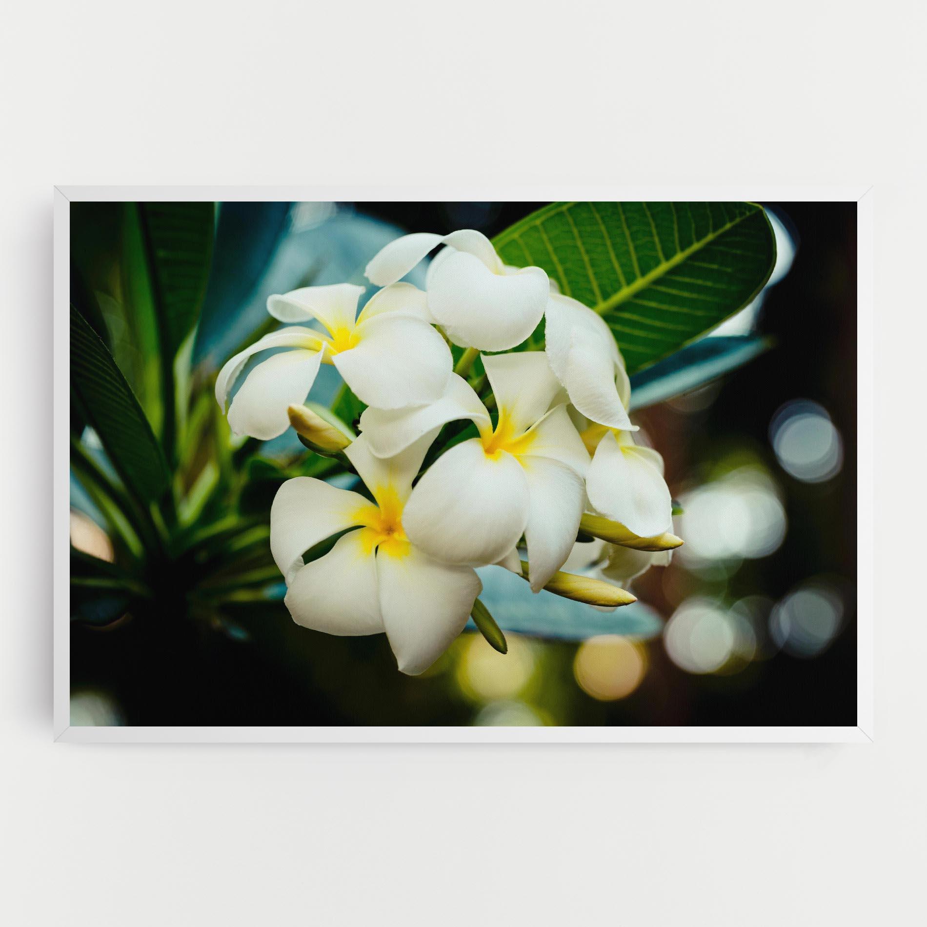 Tablou Canvas Beautiful White Exotic mockup 0