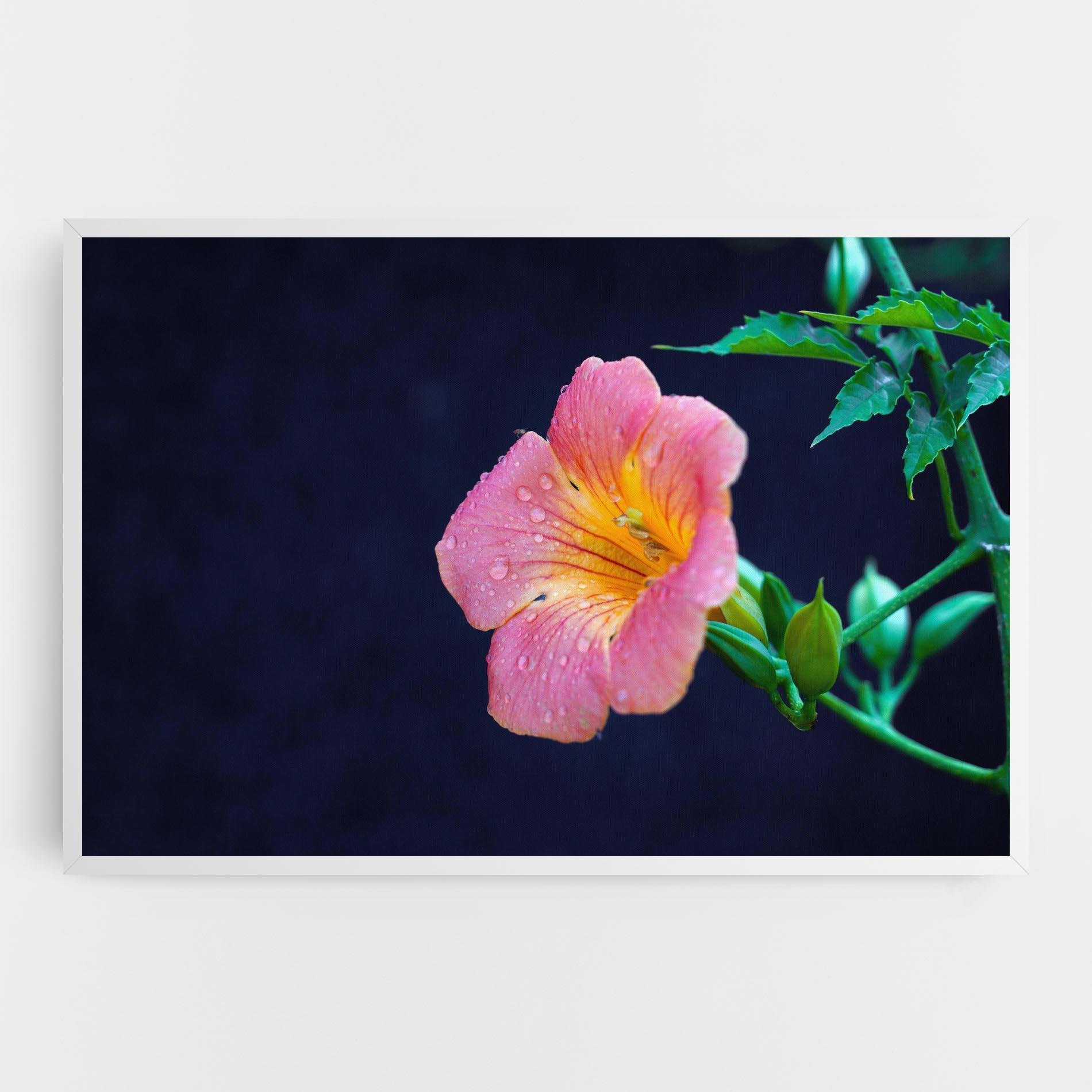 Tablou Canvas Exotic Pink Plant mockup 0