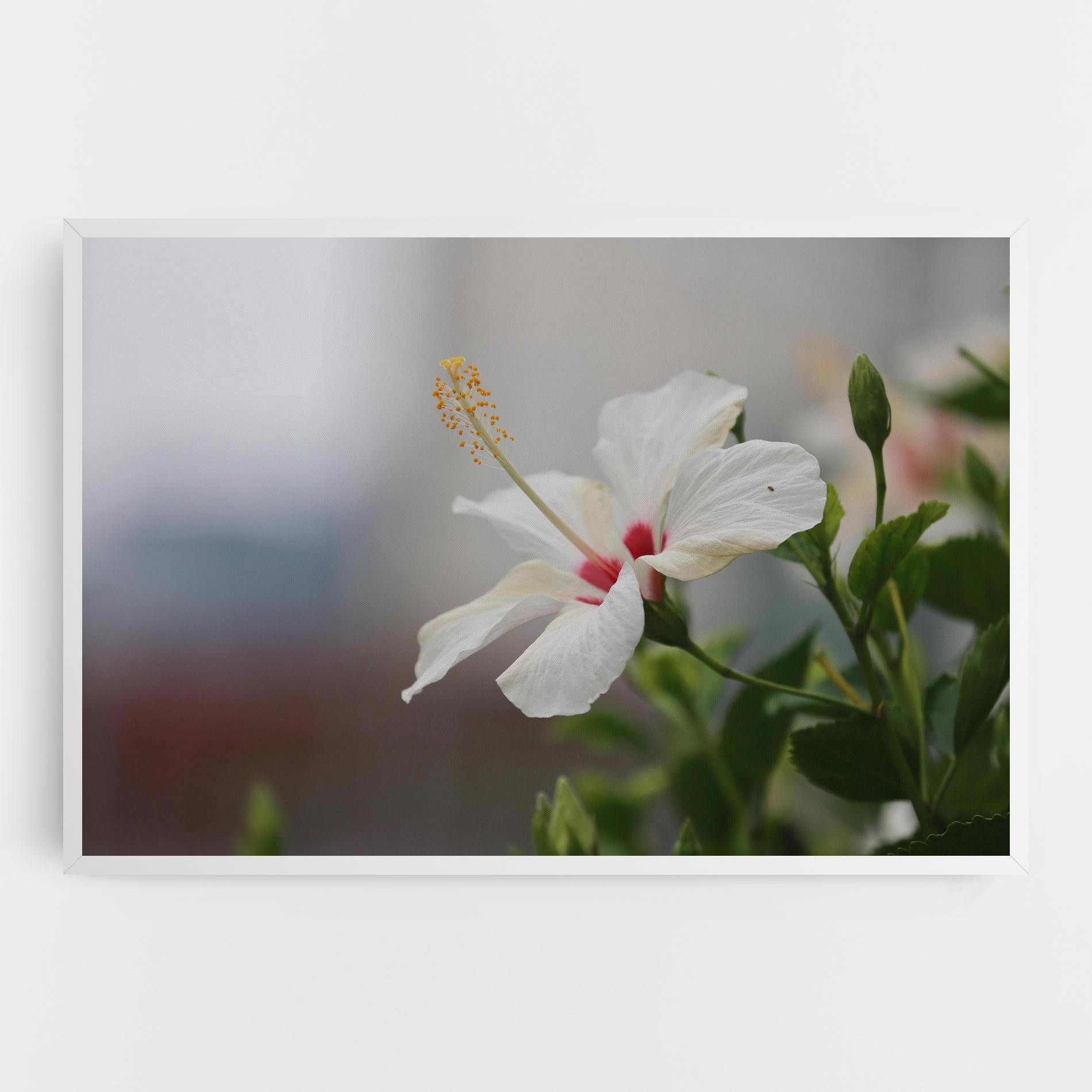 Exotic White Flower mockup 0