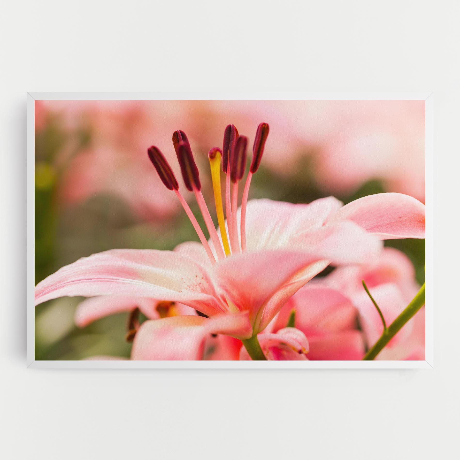 Flower mockup 0
