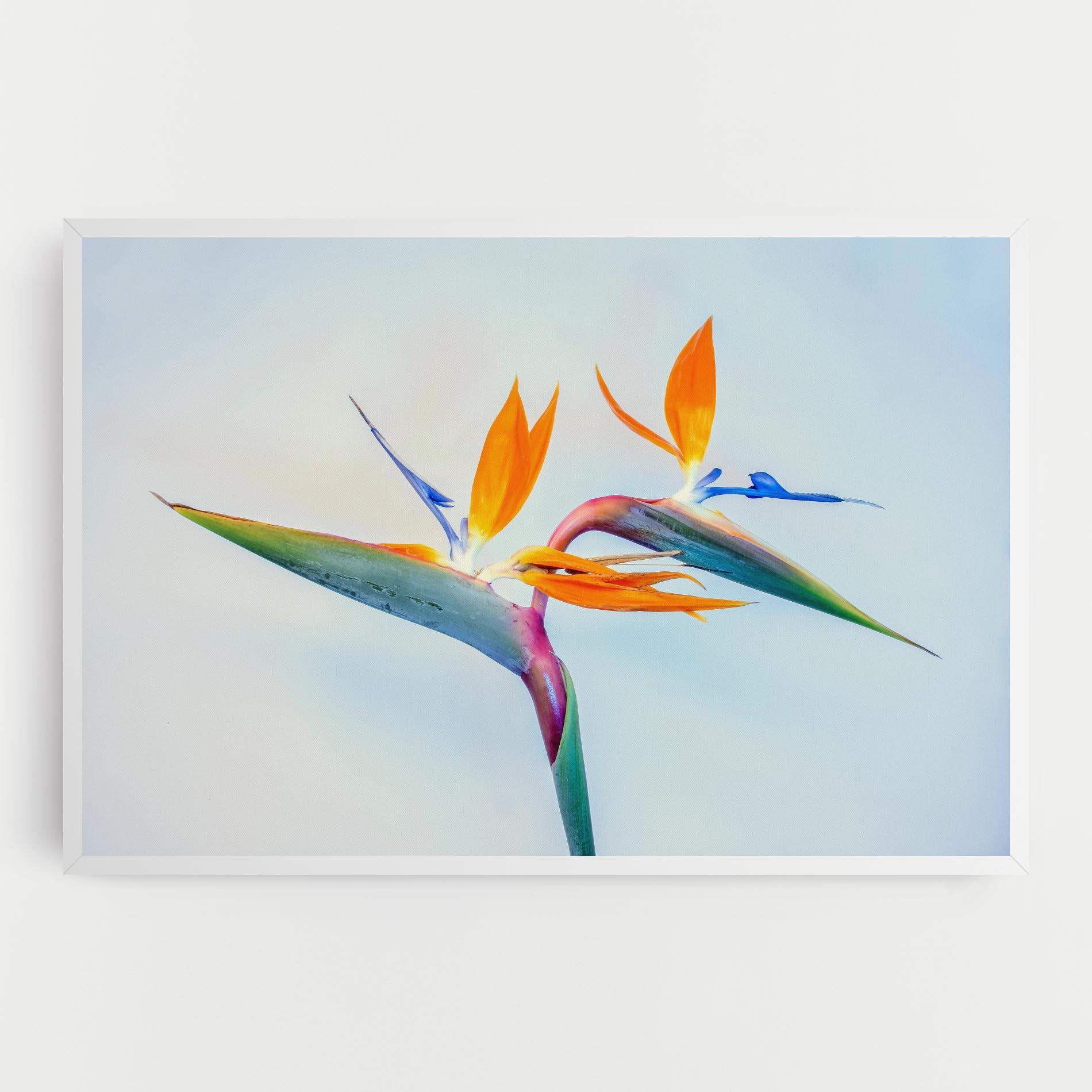 Tablou Canvas Green Orange Exotic mockup 0