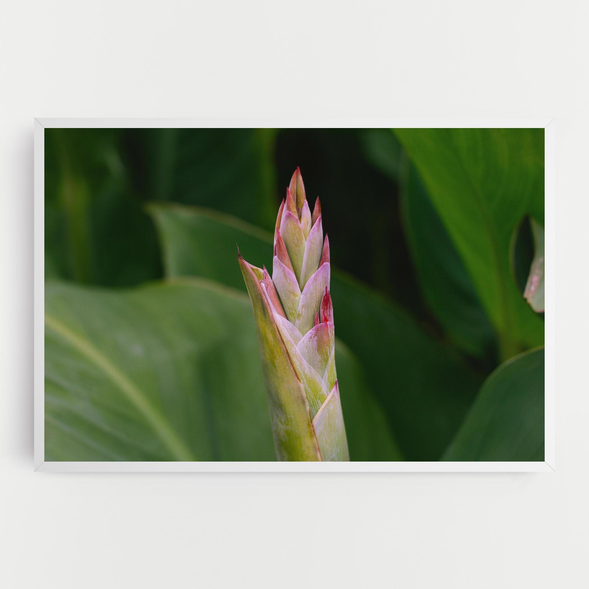 Tablou Canvas Light Pink Exotic mockup 0