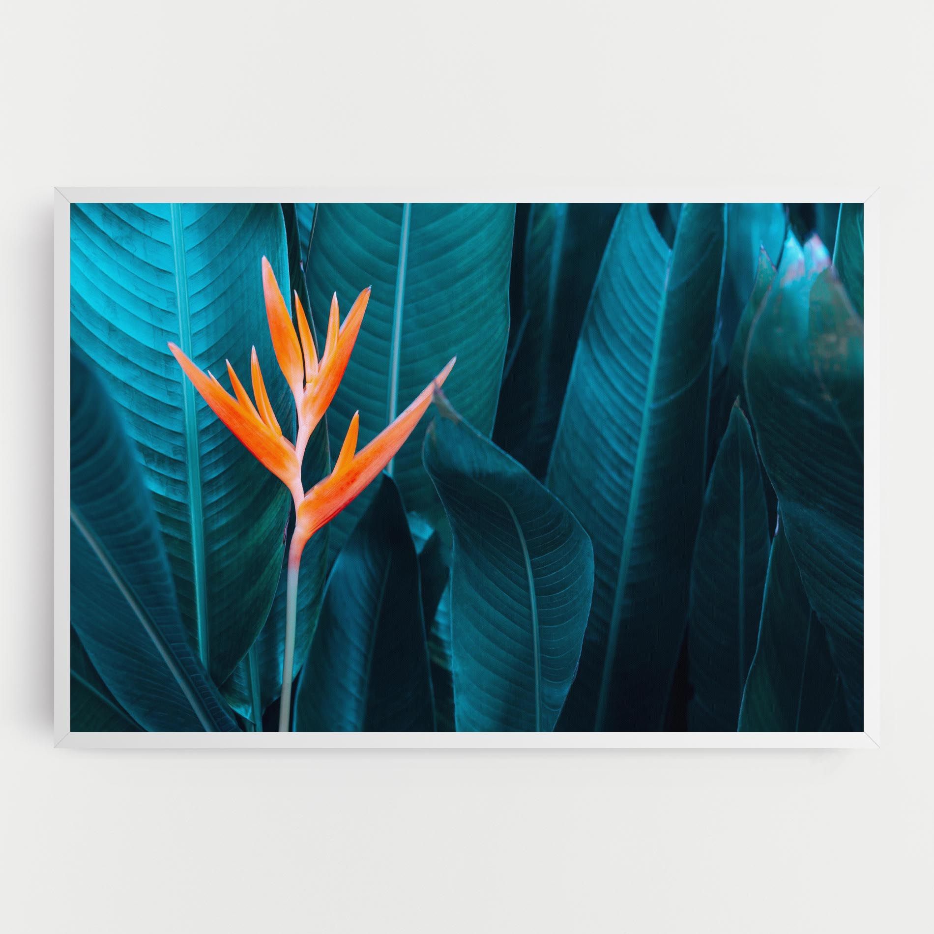 Orange Green Exotic mockup 0