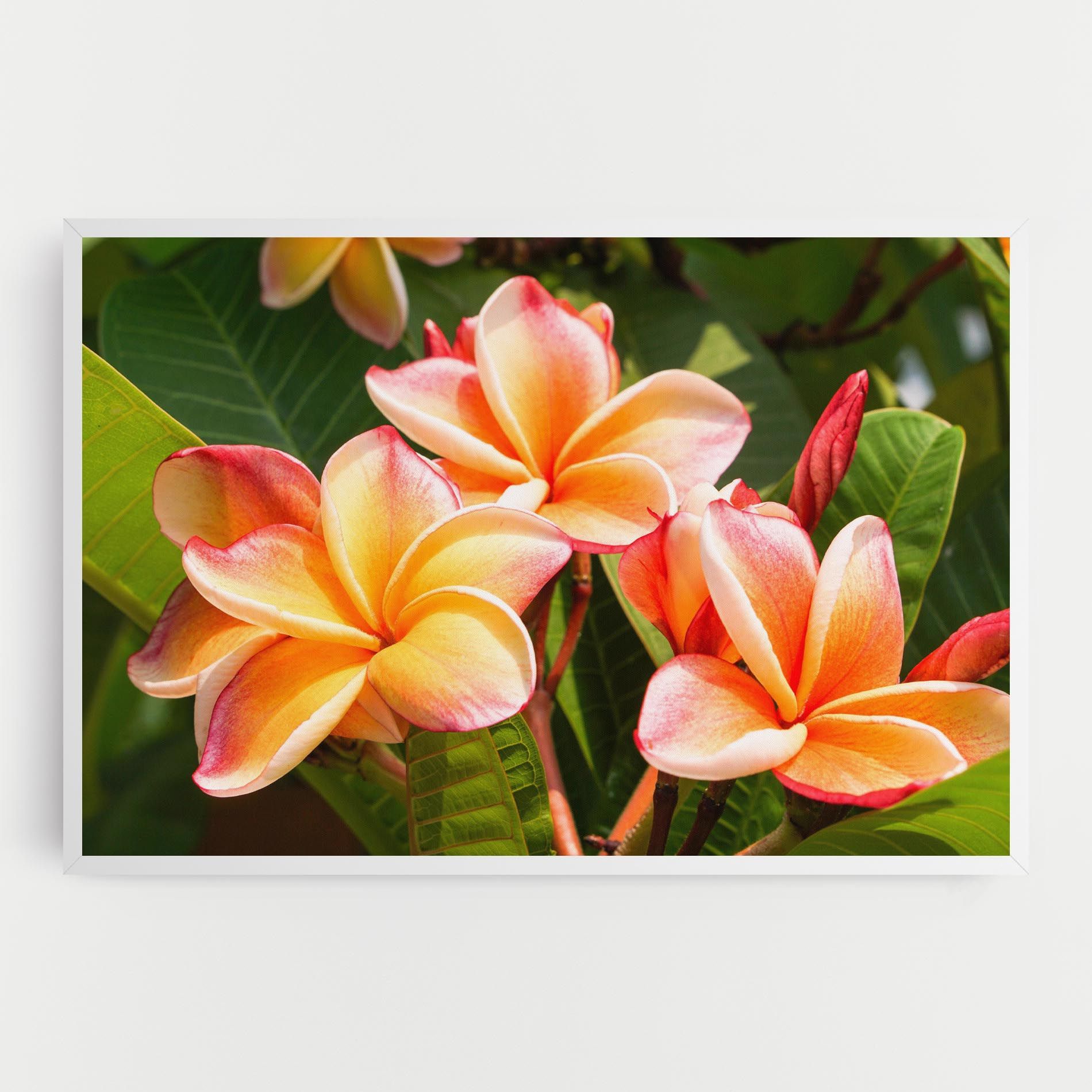 Pretty Plumeria mockup 0