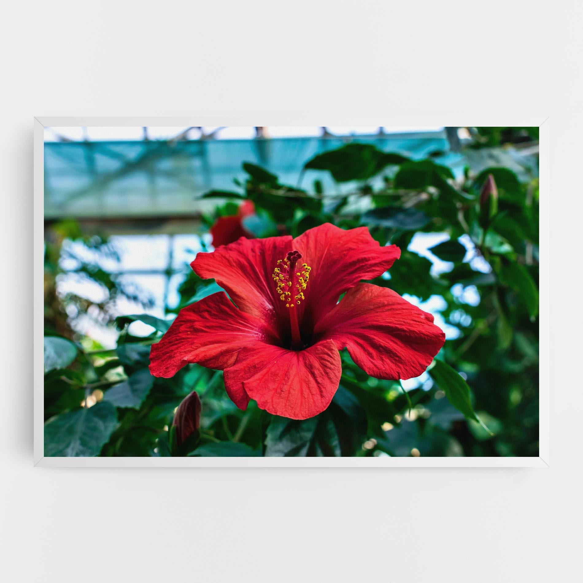 Tablou Canvas Red Exotic Plant mockup 0