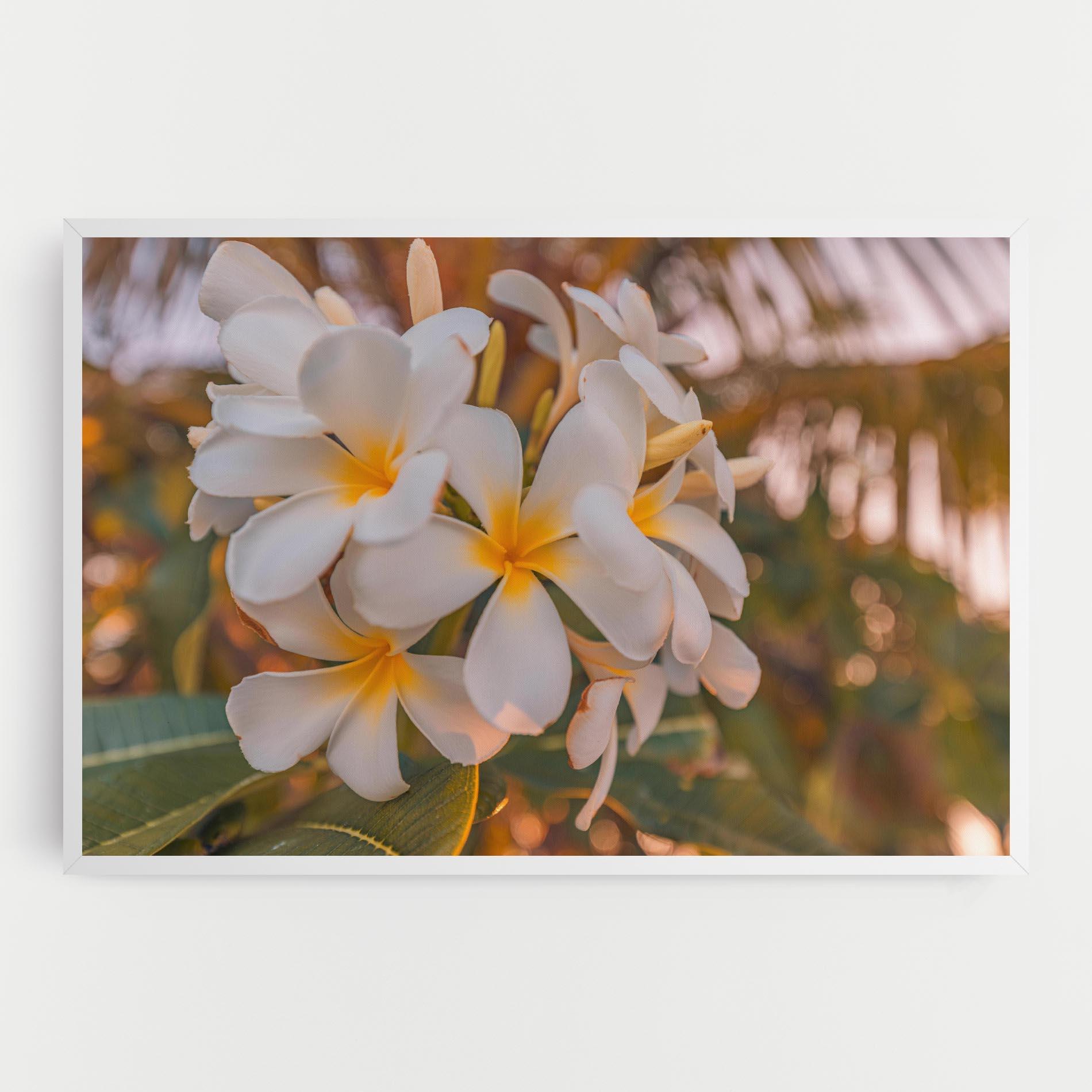 Tablou Canvas White Plumeria mockup 0