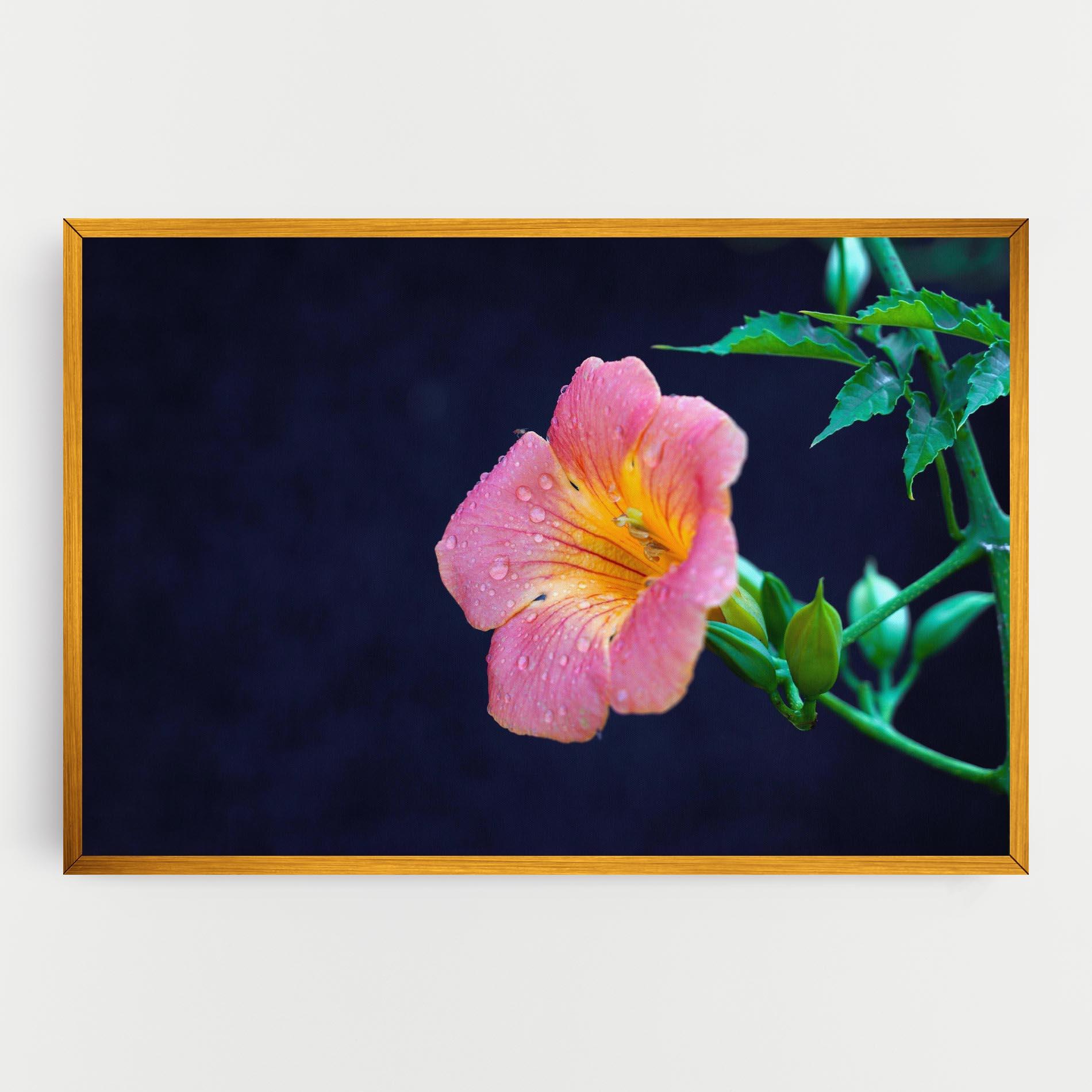 Tablou Canvas Exotic Pink Plant mockup 0