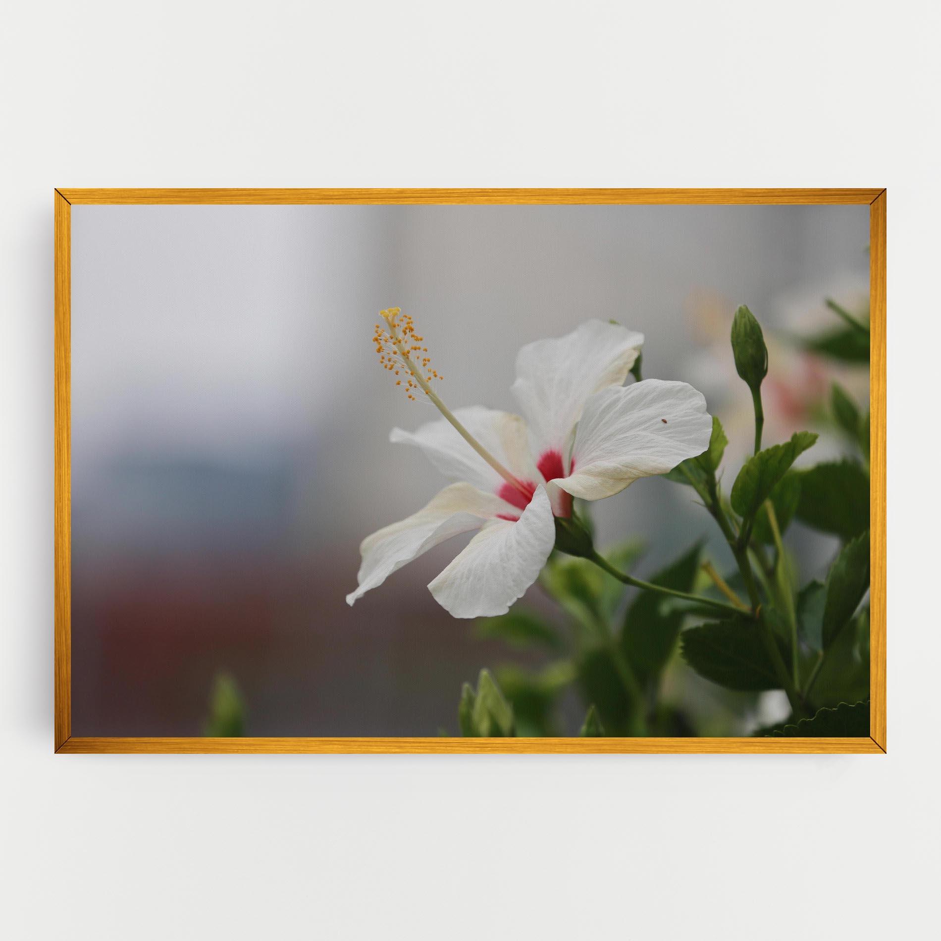 Tablou Canvas Exotic White Flower mockup 0
