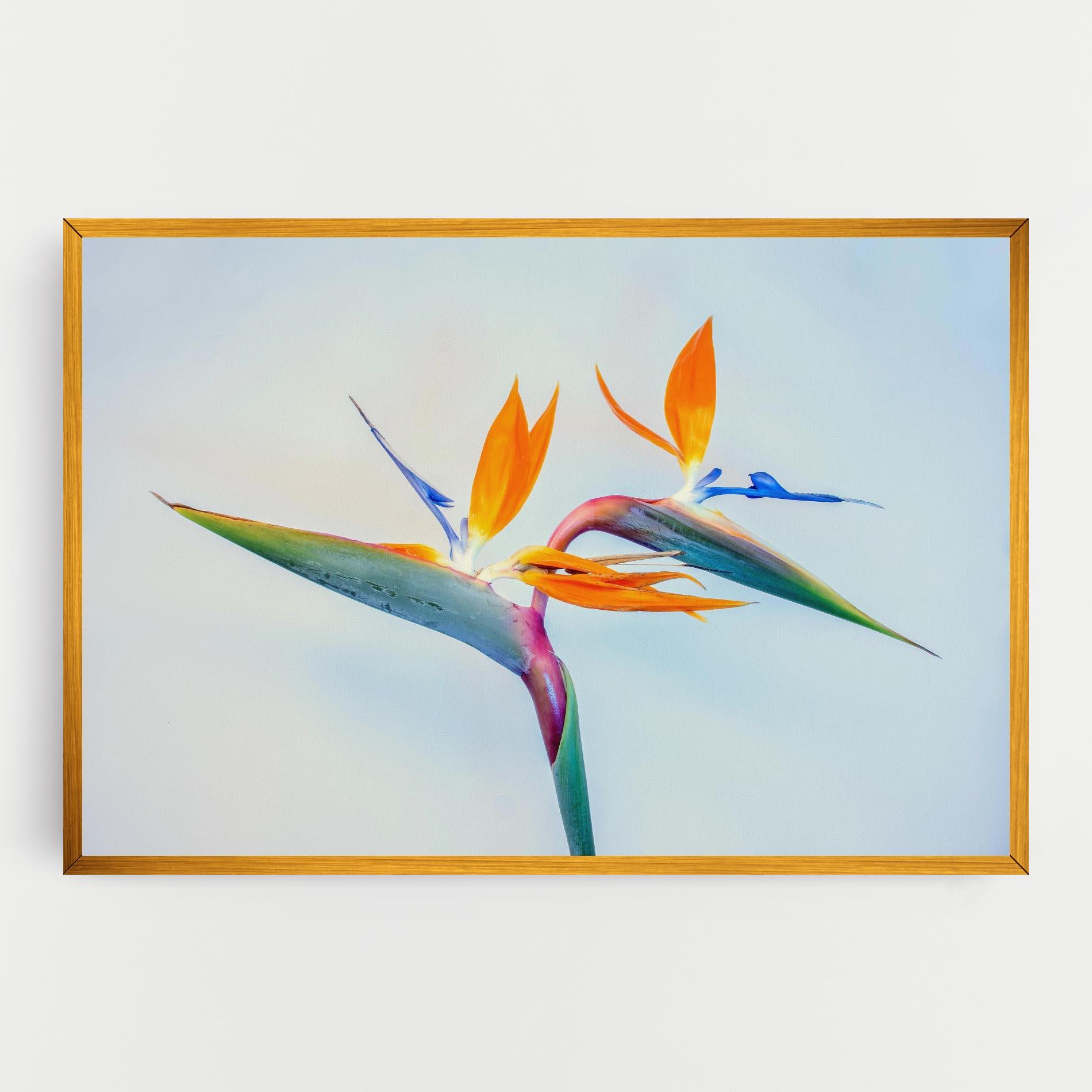 Tablou Canvas Green Orange Exotic mockup 0